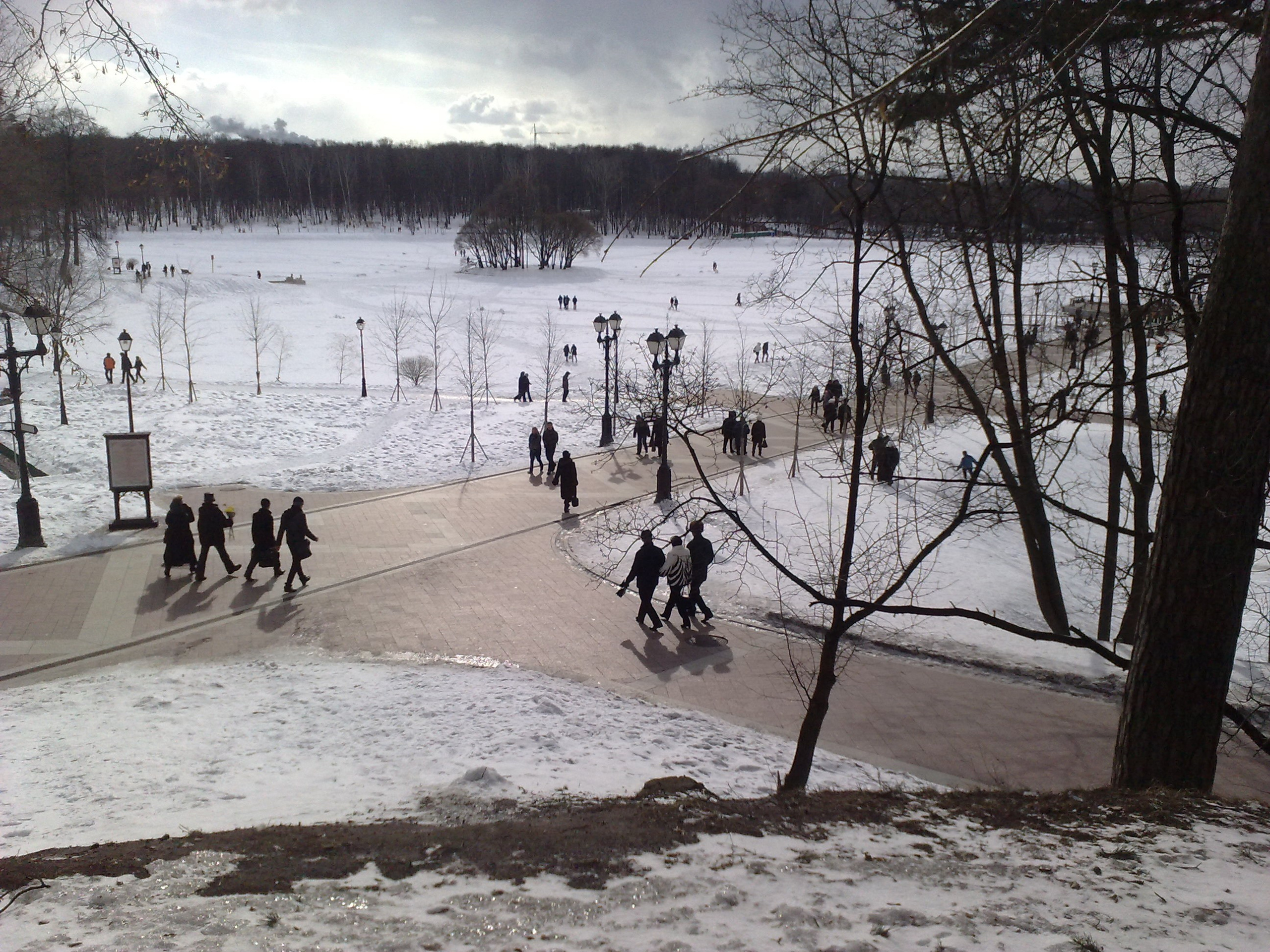 Царицино музей-усадьба. Питомник китайских хохлатых собак Poale Ell: купить щенка в питомнике