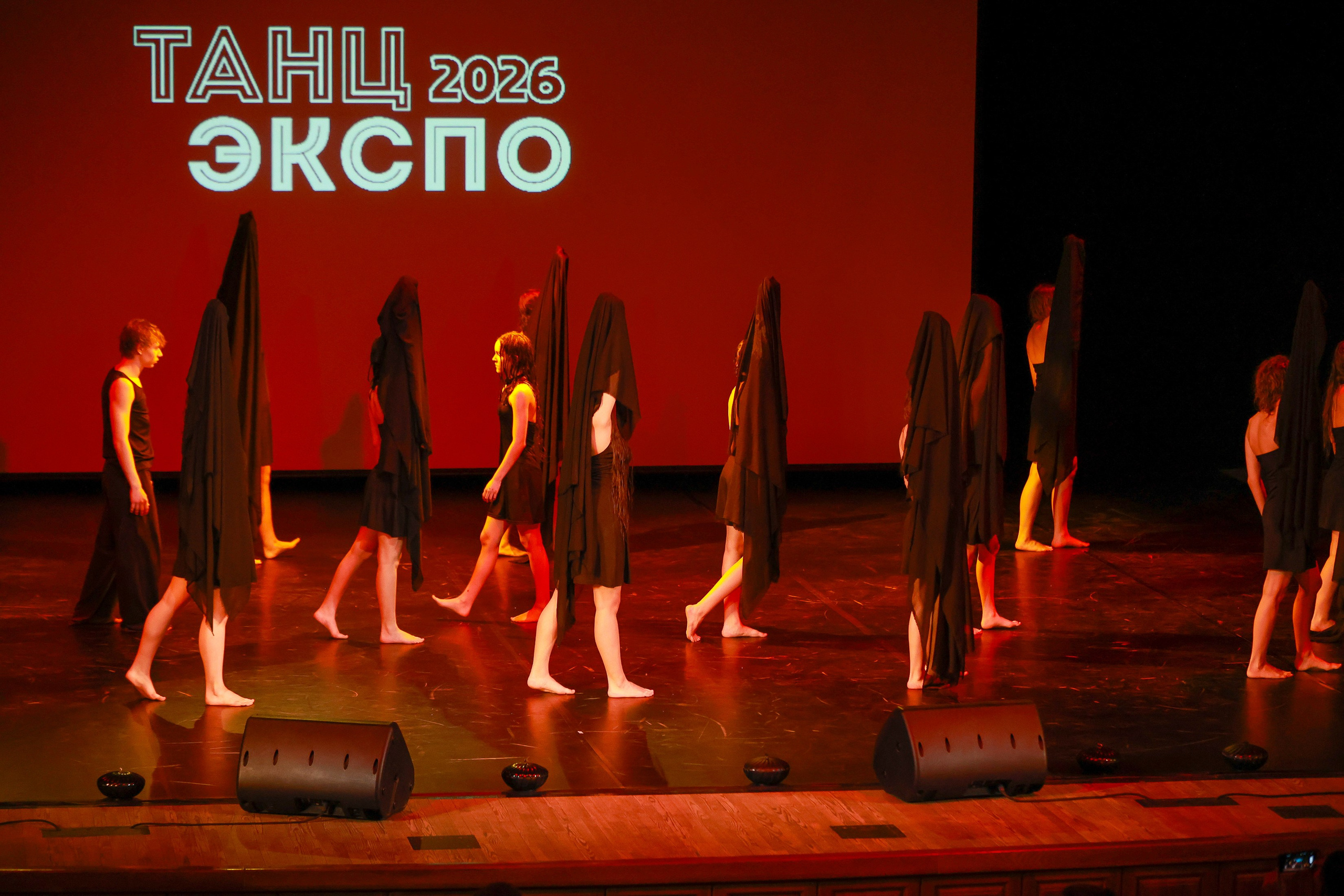 Небесные ласточки на Танц ЭКСПО 2026. Фотограф Юлия Мальцева