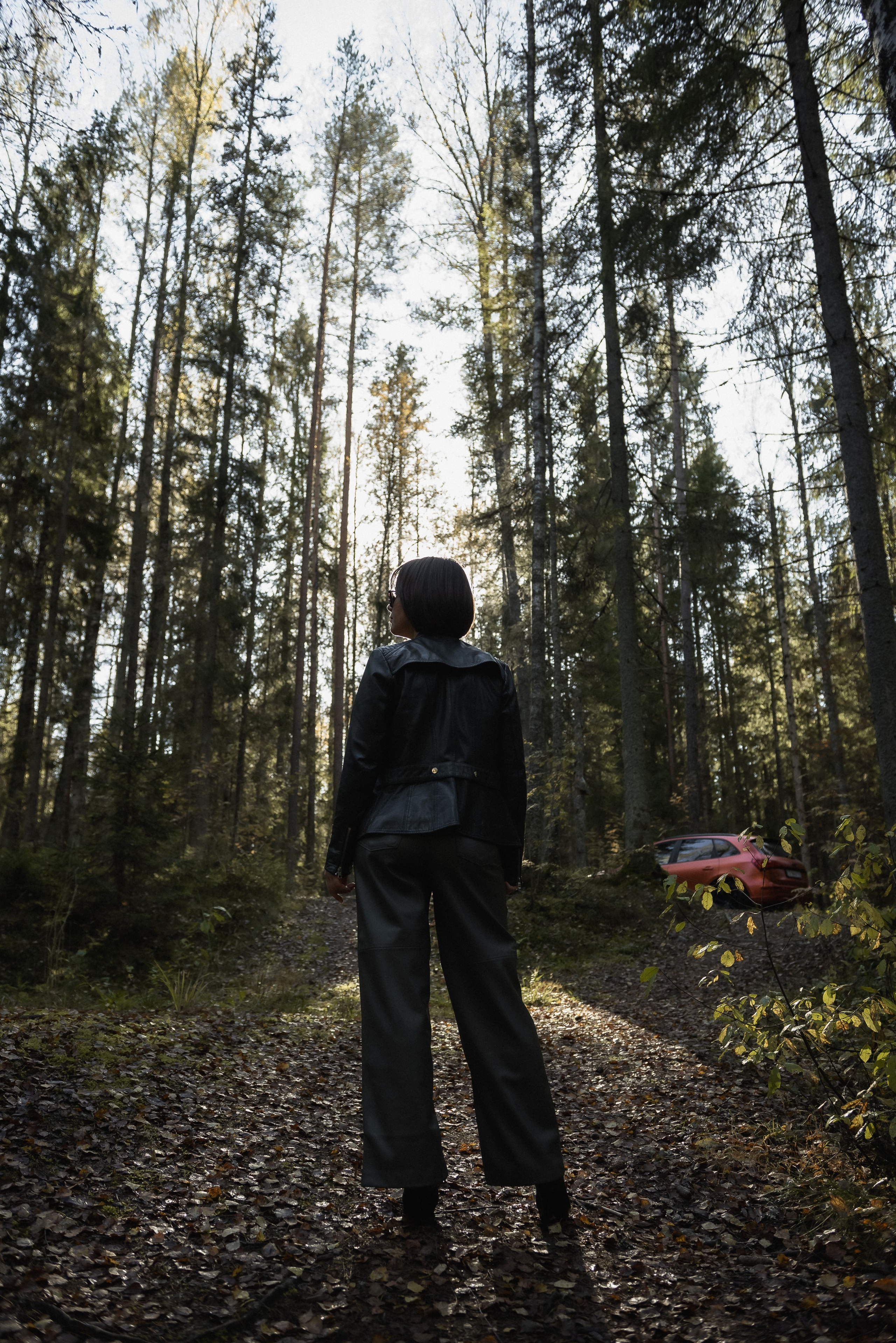 Осенний лес. КОНТЕНТ |БРЕНД фотограф Санкт-Петербург — Жанна Олтаржевская