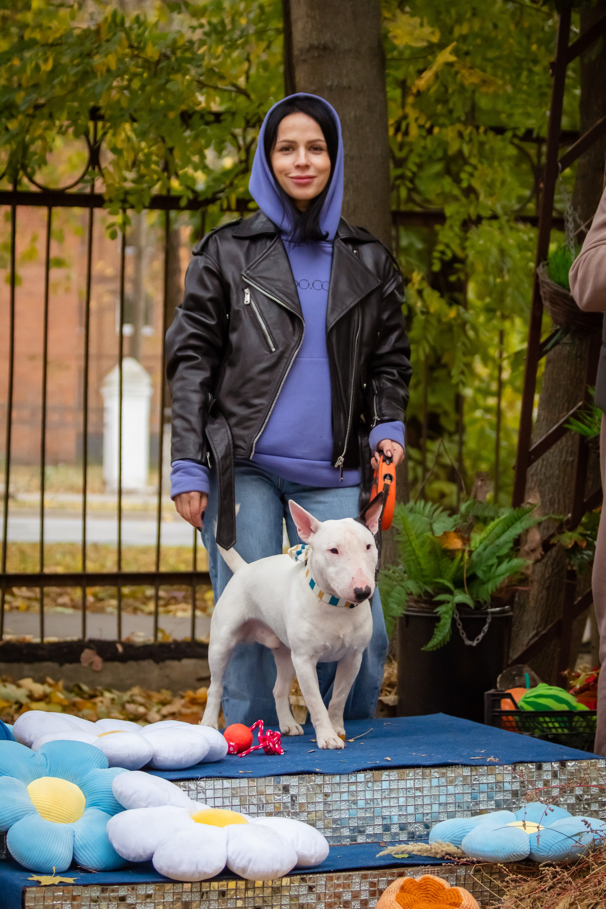 Костюмированный парад собак. Фотограф анималист — Тула, Москва