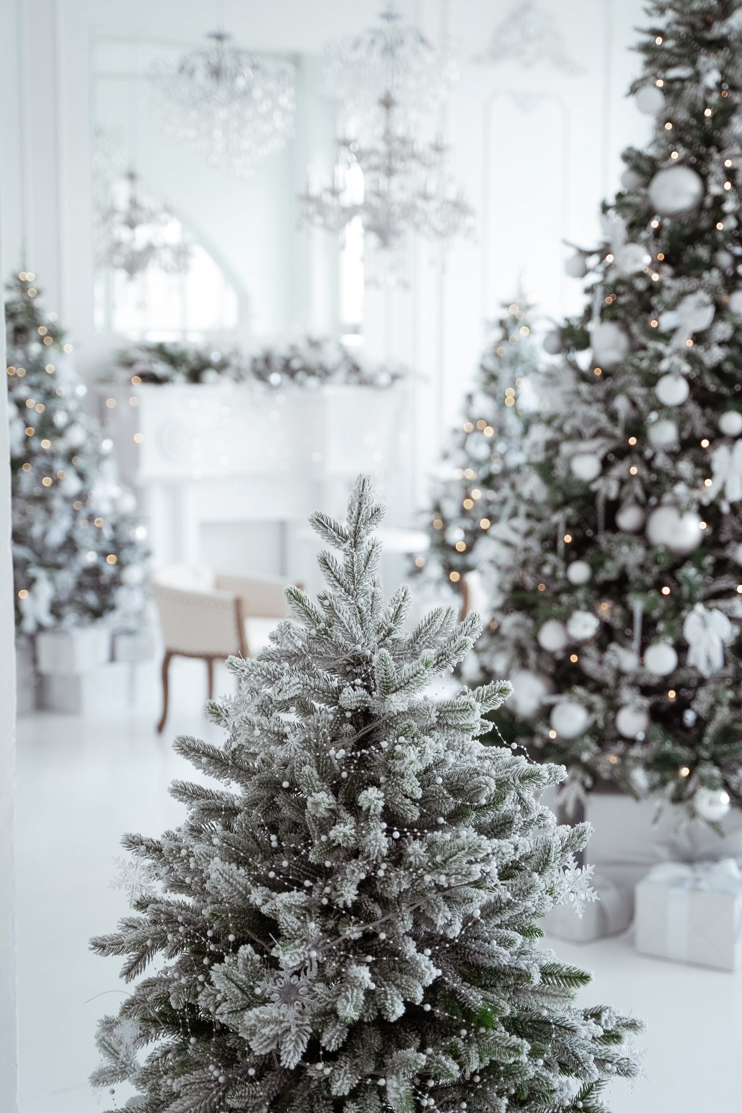 Зал Ренессанс. Фотограф г. Хабаровск. Семейные и индивидуальные съёмки