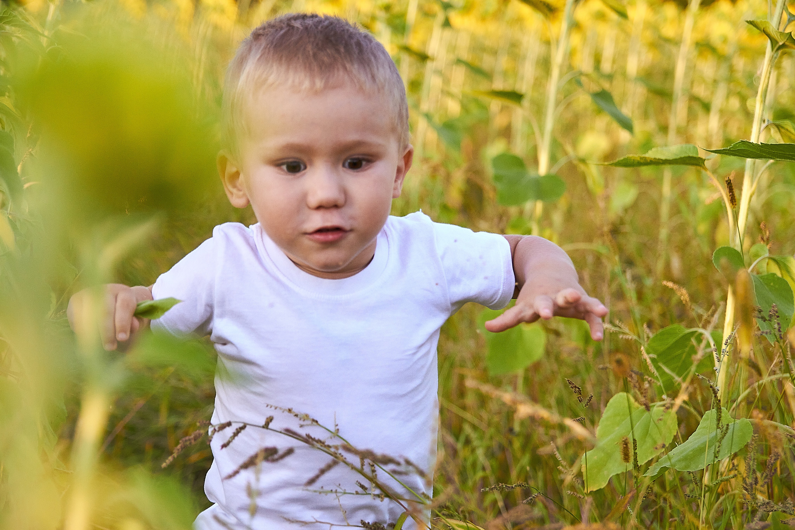 В полях. Фотограф в Самаре Татьяна Дубаносова