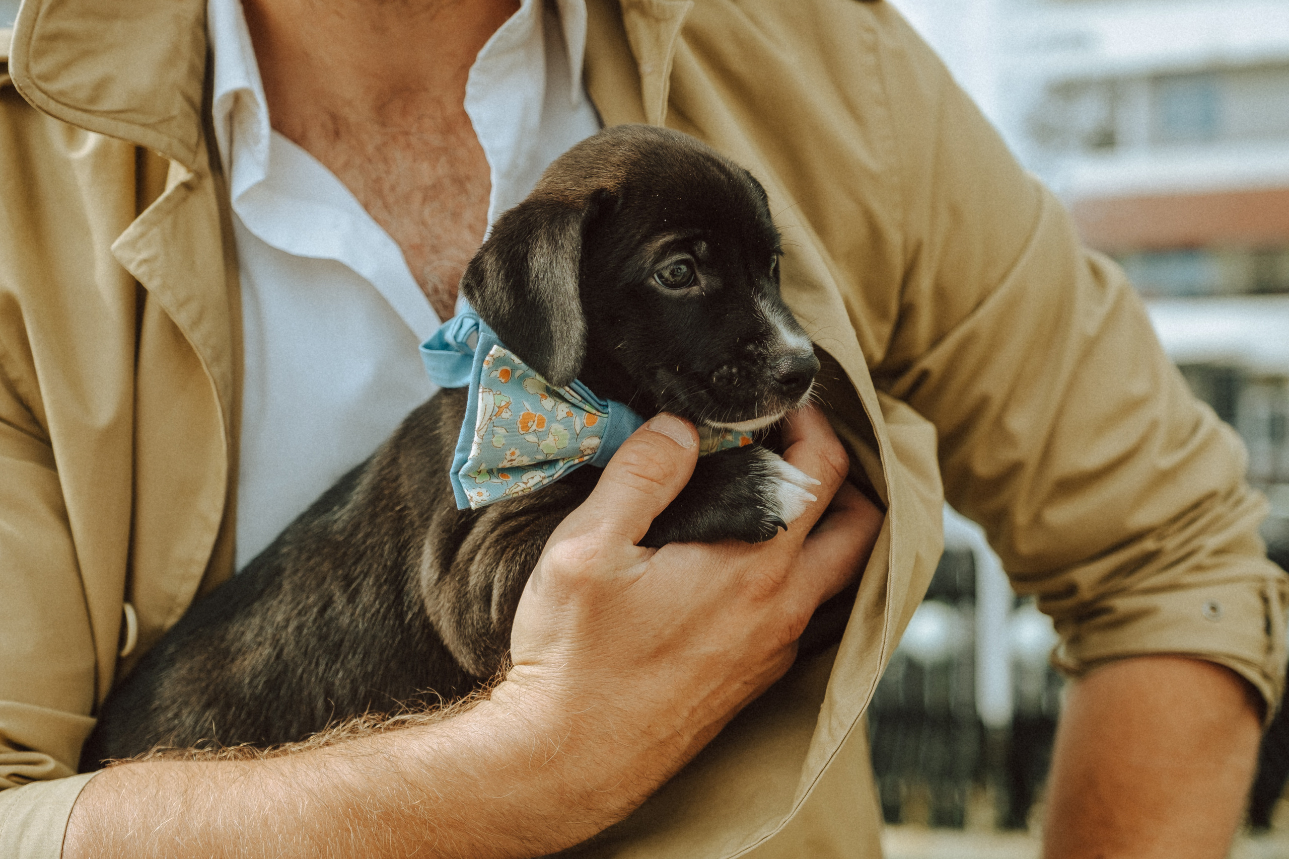 28 августа 2021, Саратов, проспект Кирова. Свадебный фотограф в Саратове Сторожев Слава