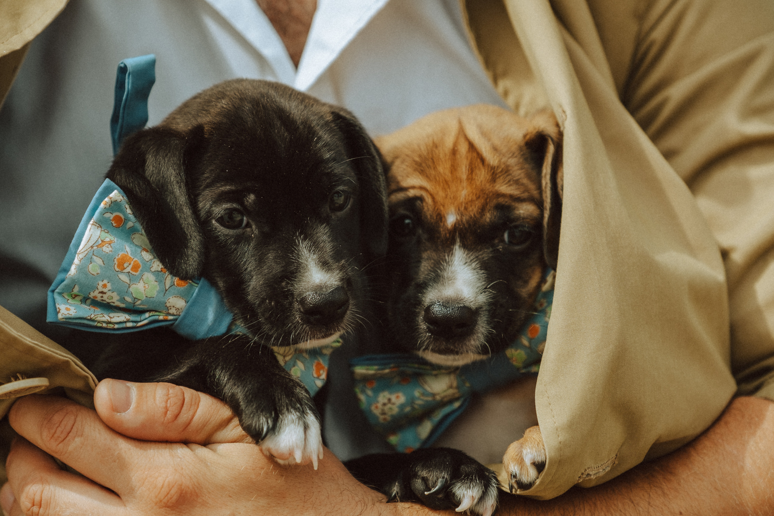 28 августа 2021, Саратов, проспект Кирова. Свадебный фотограф в Саратове Сторожев Слава