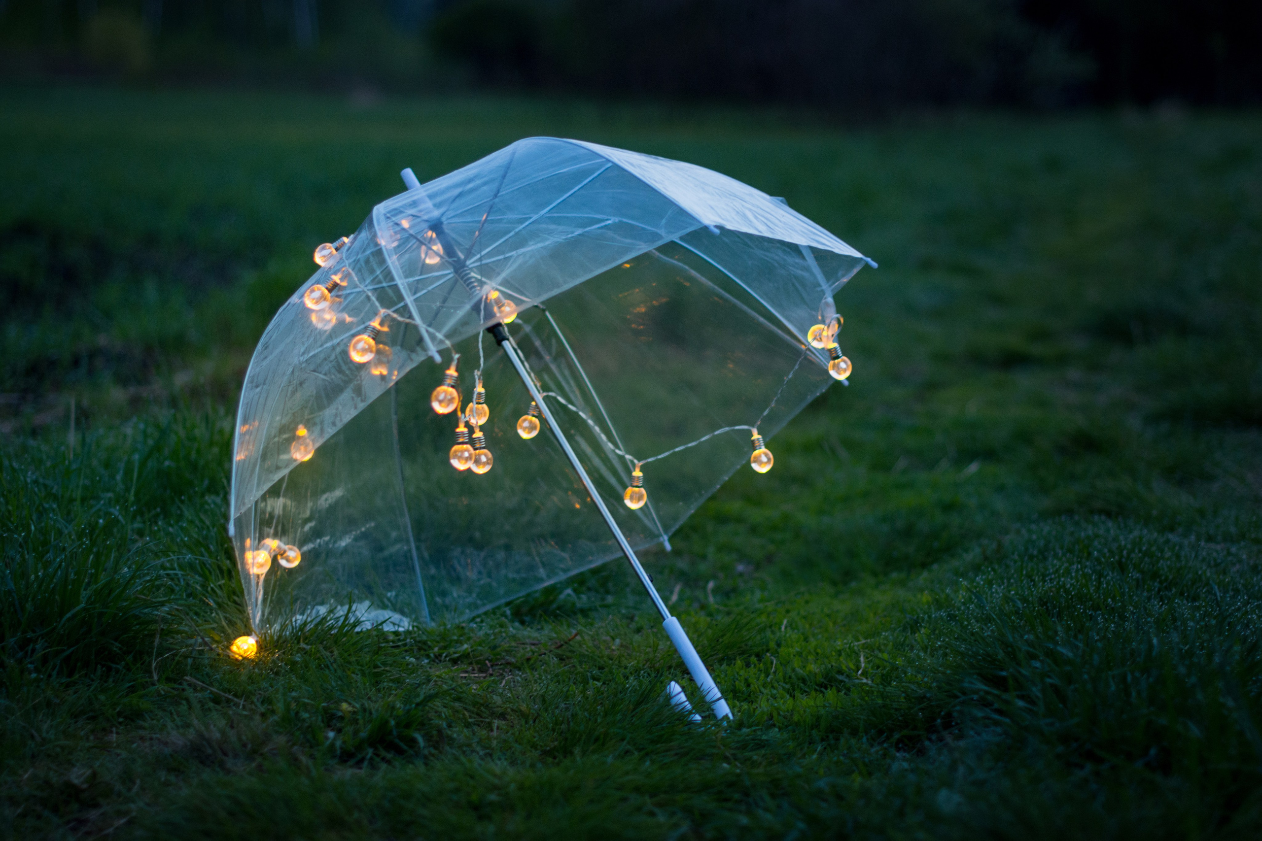 Детская фотосессия до 1 года в парке. Фотосессия беременности — Крылова Натали — Москва