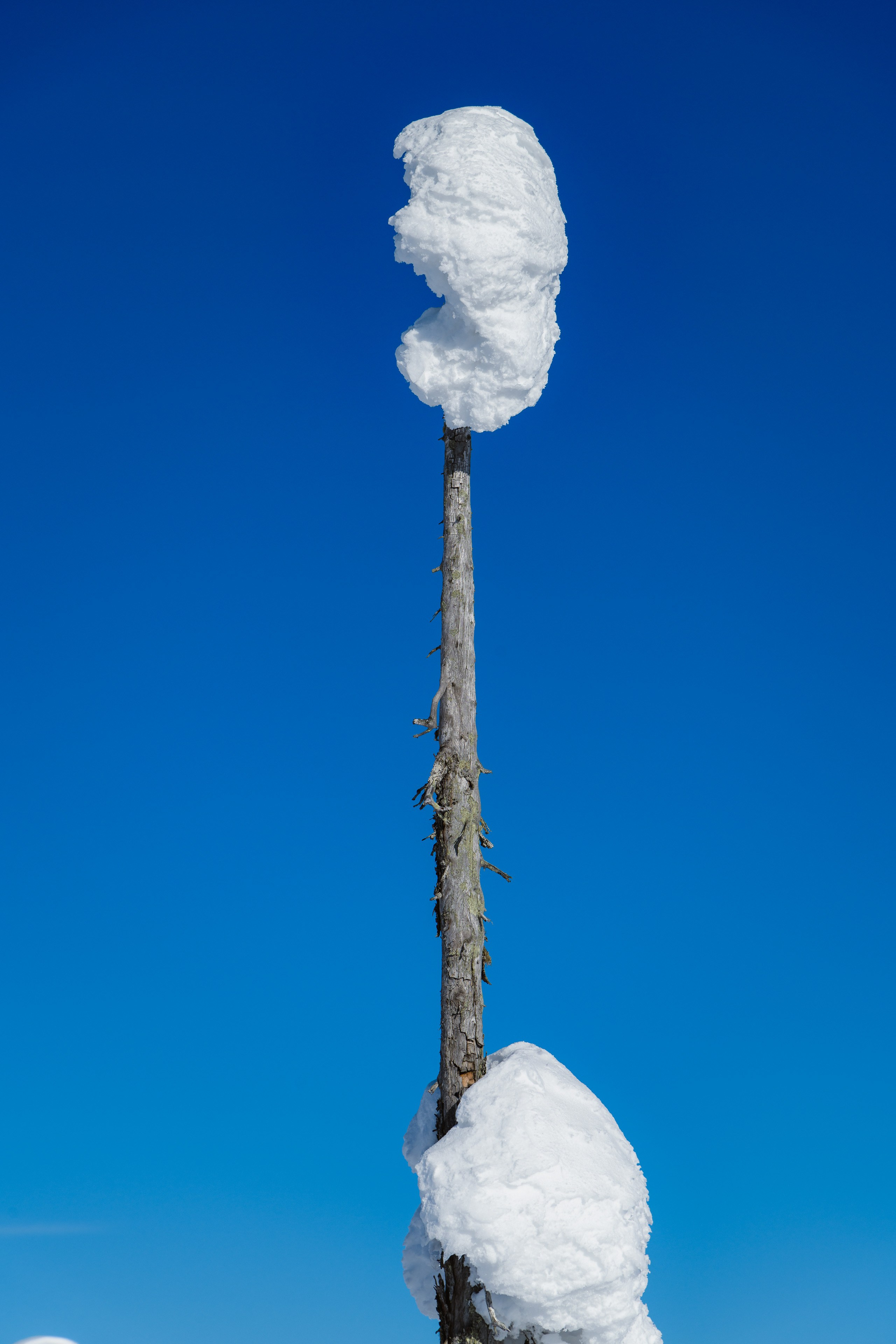 Зима. Северные Ночи