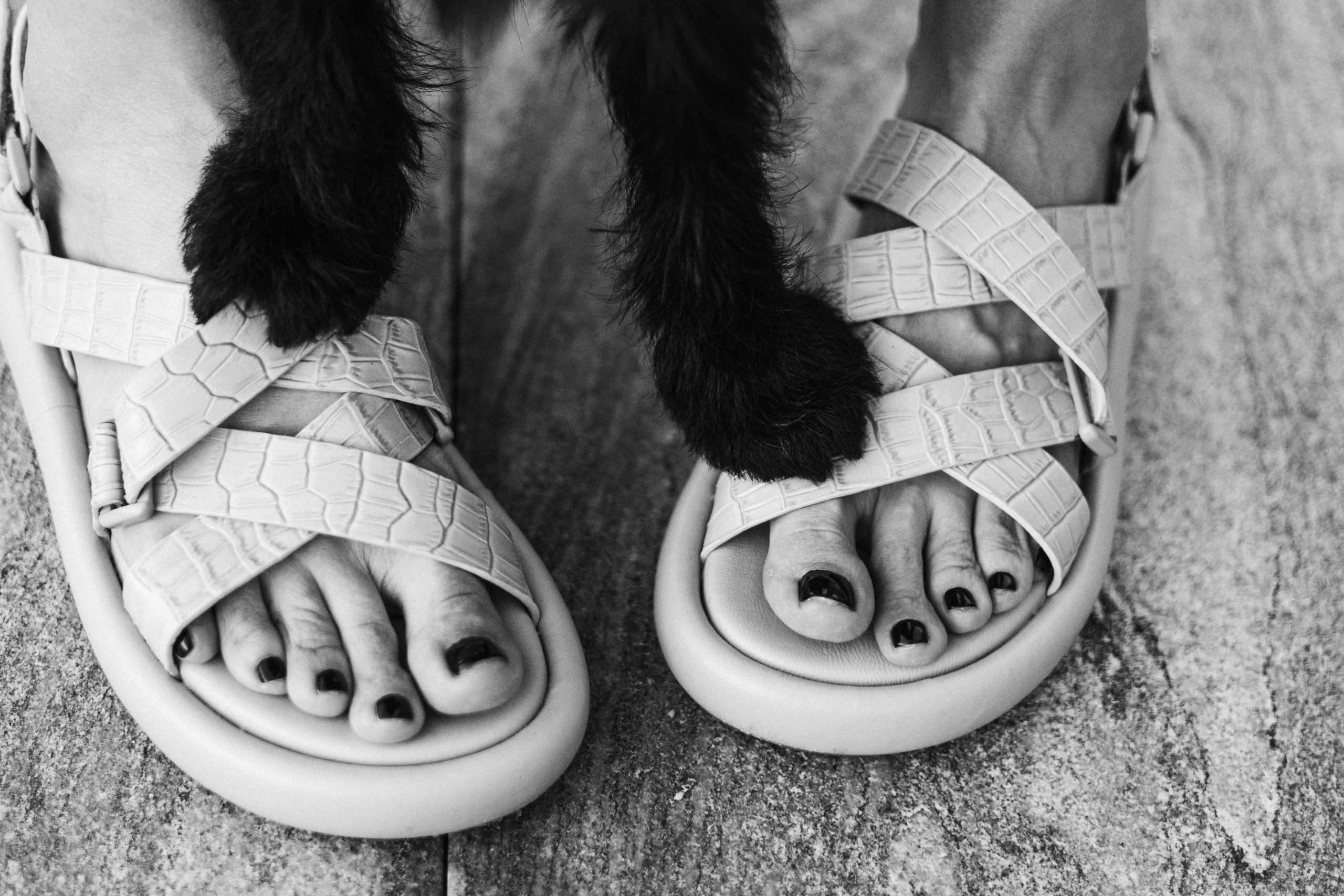 Ася и Кузя. Фотограф анималист Осипчикова Мария