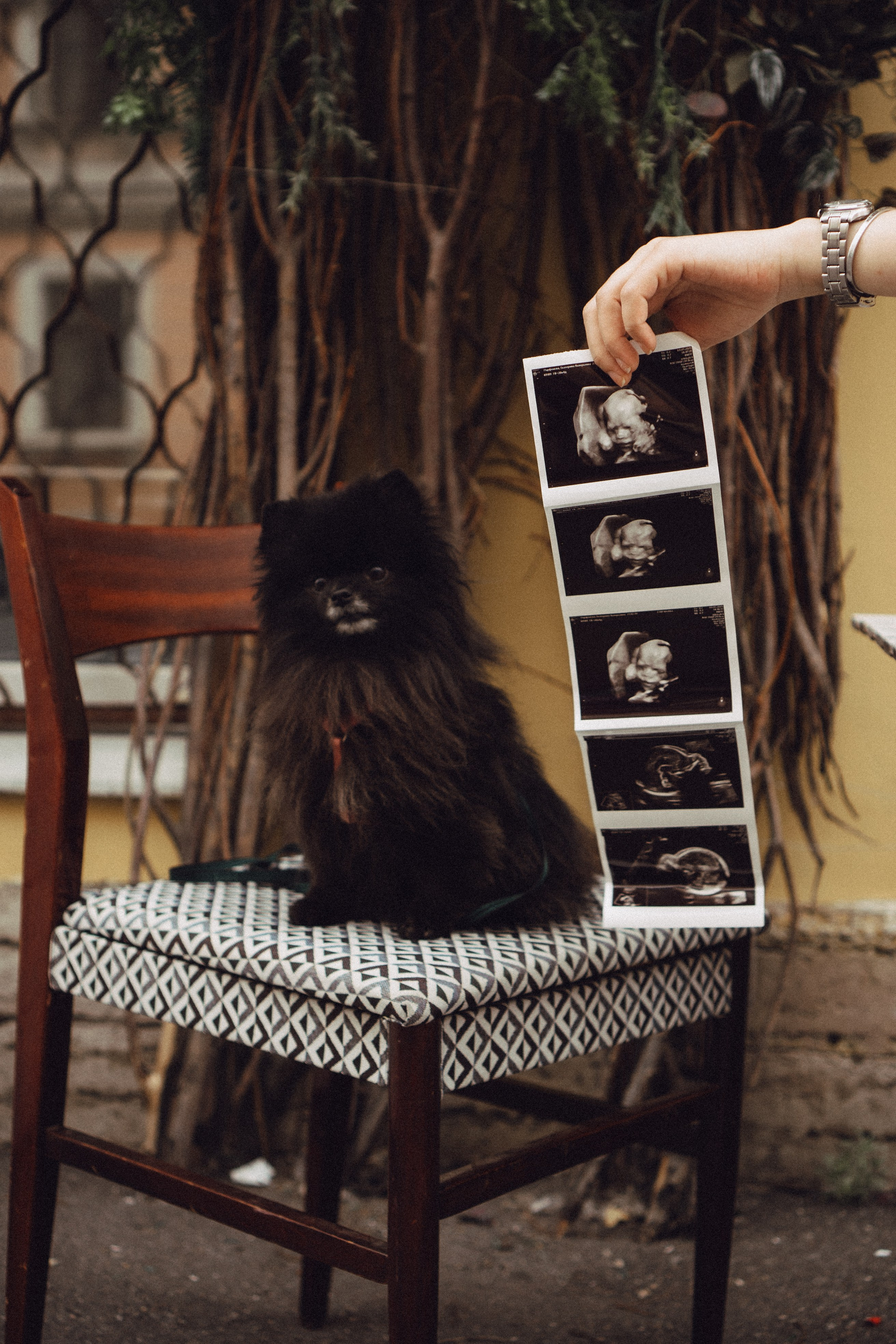 Беременность (только часть фото по желанию клиентов могу показать)). Профессиональный фотограф, Санкт-Петербург — Виктория Богомолова