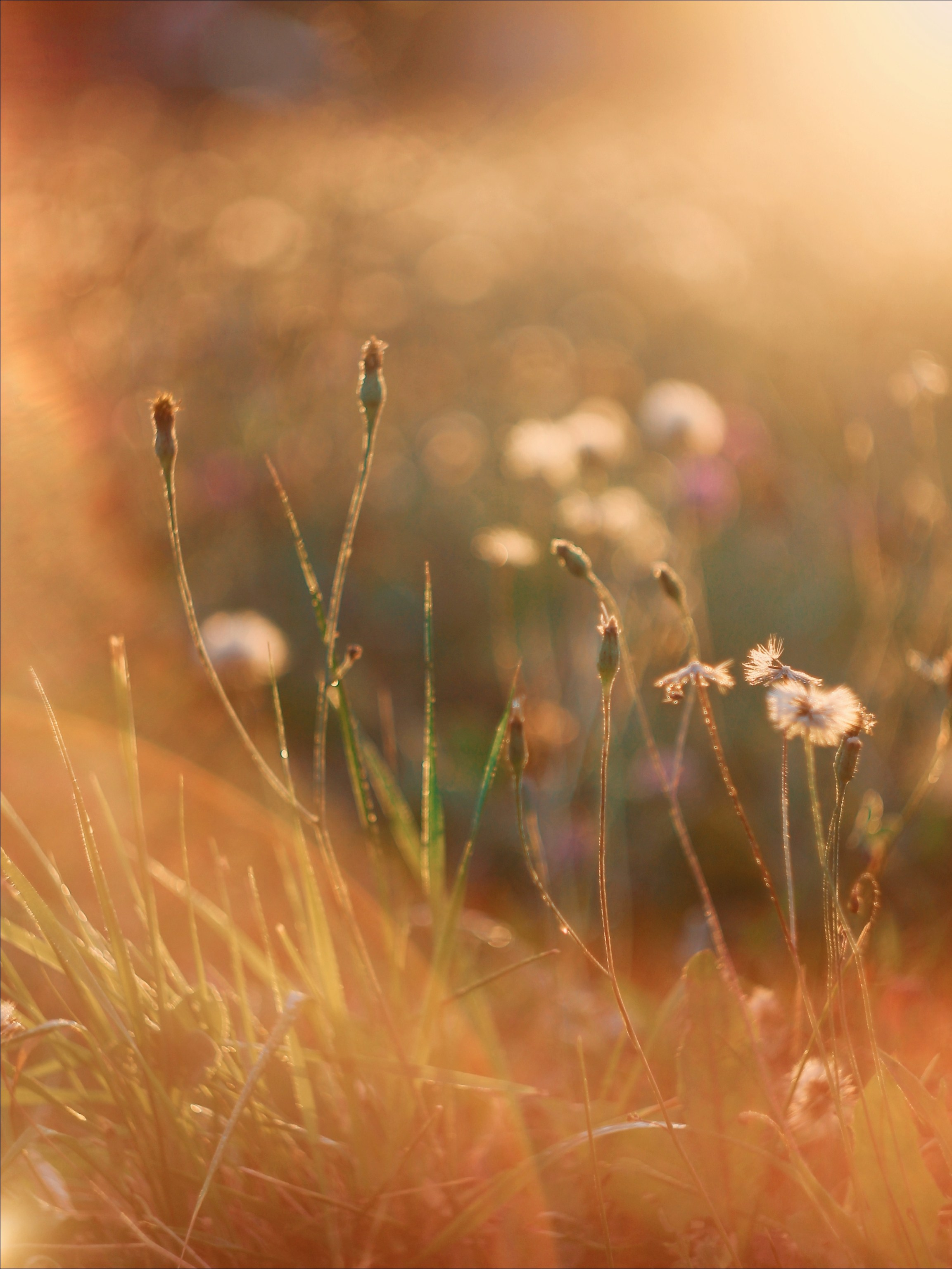 Эфемерность моментов. С любовью, фотохудожник
