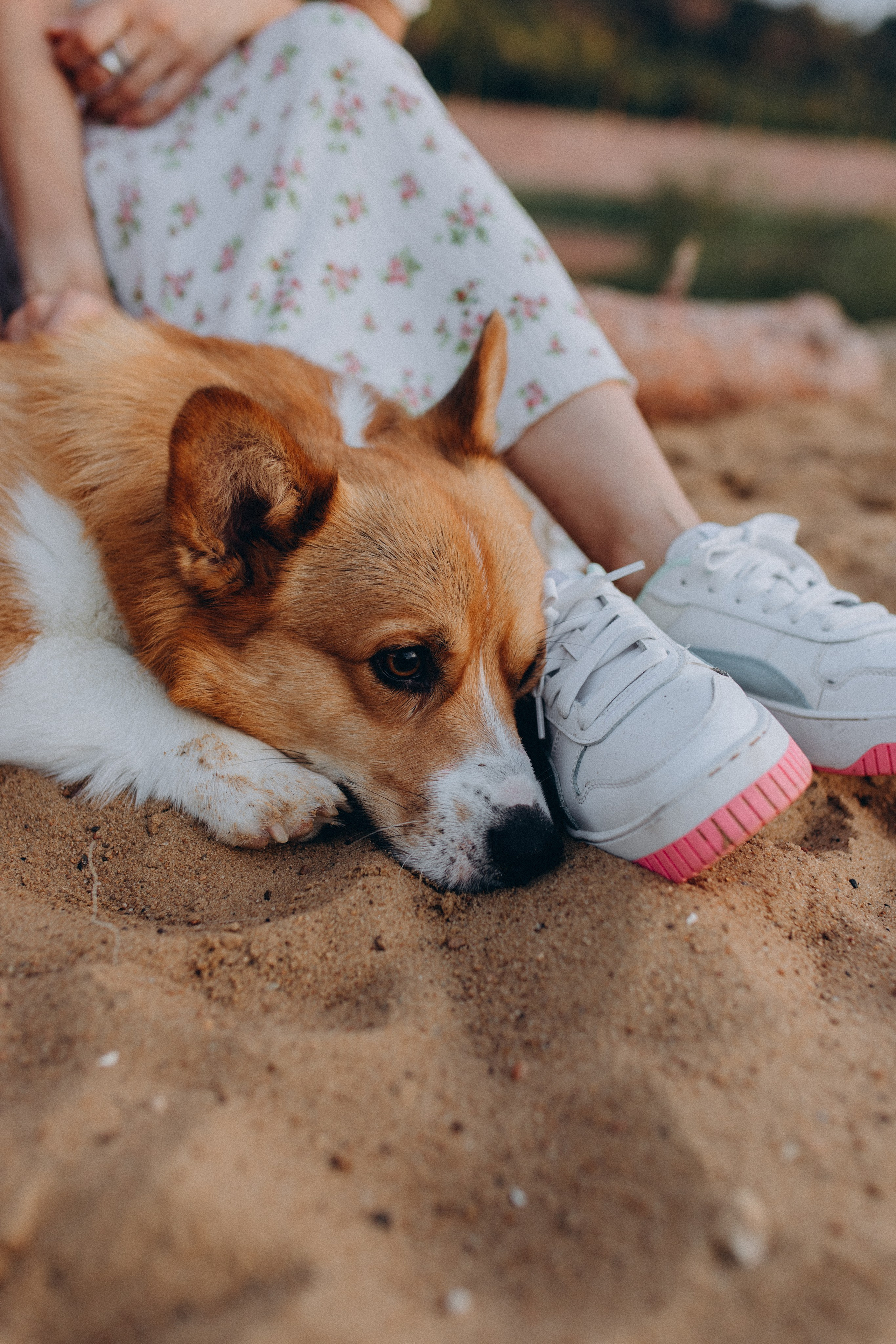 Эля, Денис и Сэми. Фотограф в Нижнем Новгороде Лебедева Елена