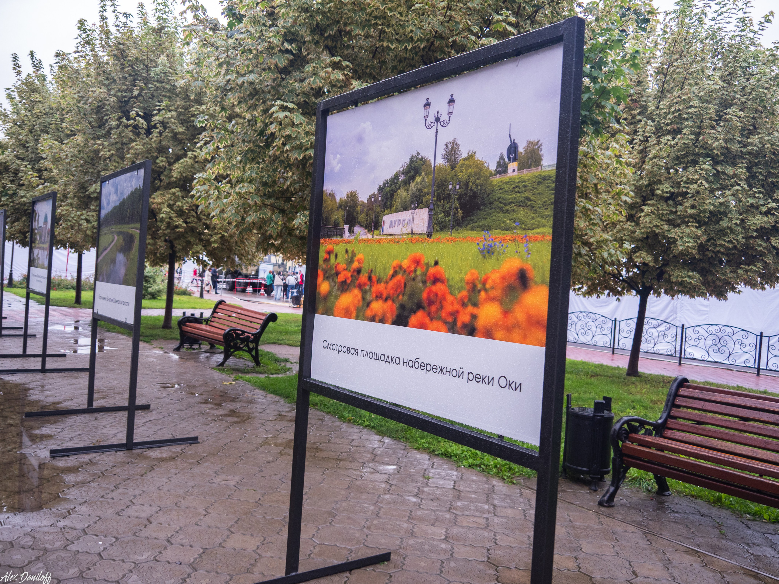 День города Муром 2025. Муром-Инфо. Новости культуры, образования, спорта в городе Муром