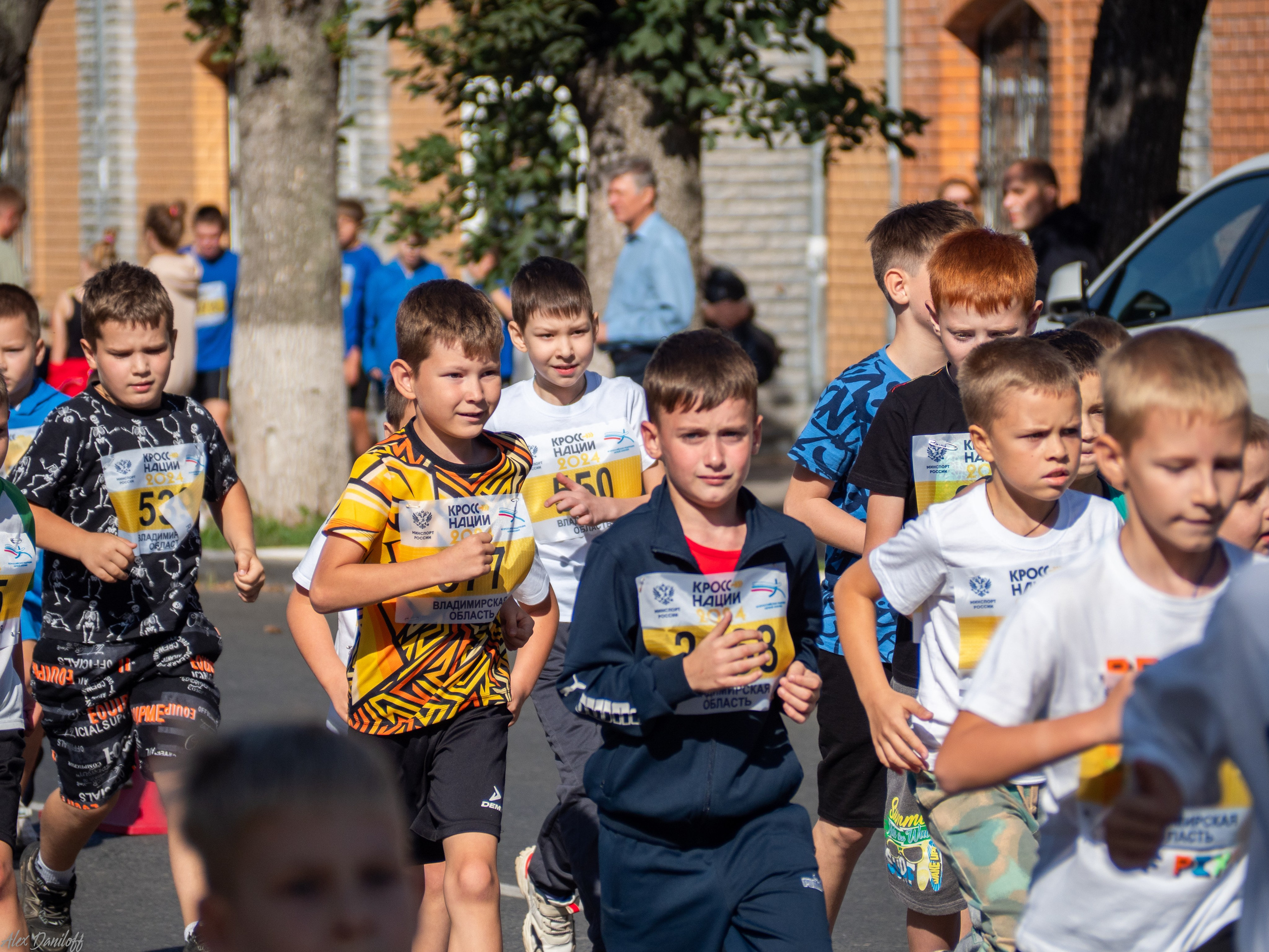 Кросс нации 2024. Муром-Инфо. Новости культуры, образования, спорта в городе Муром