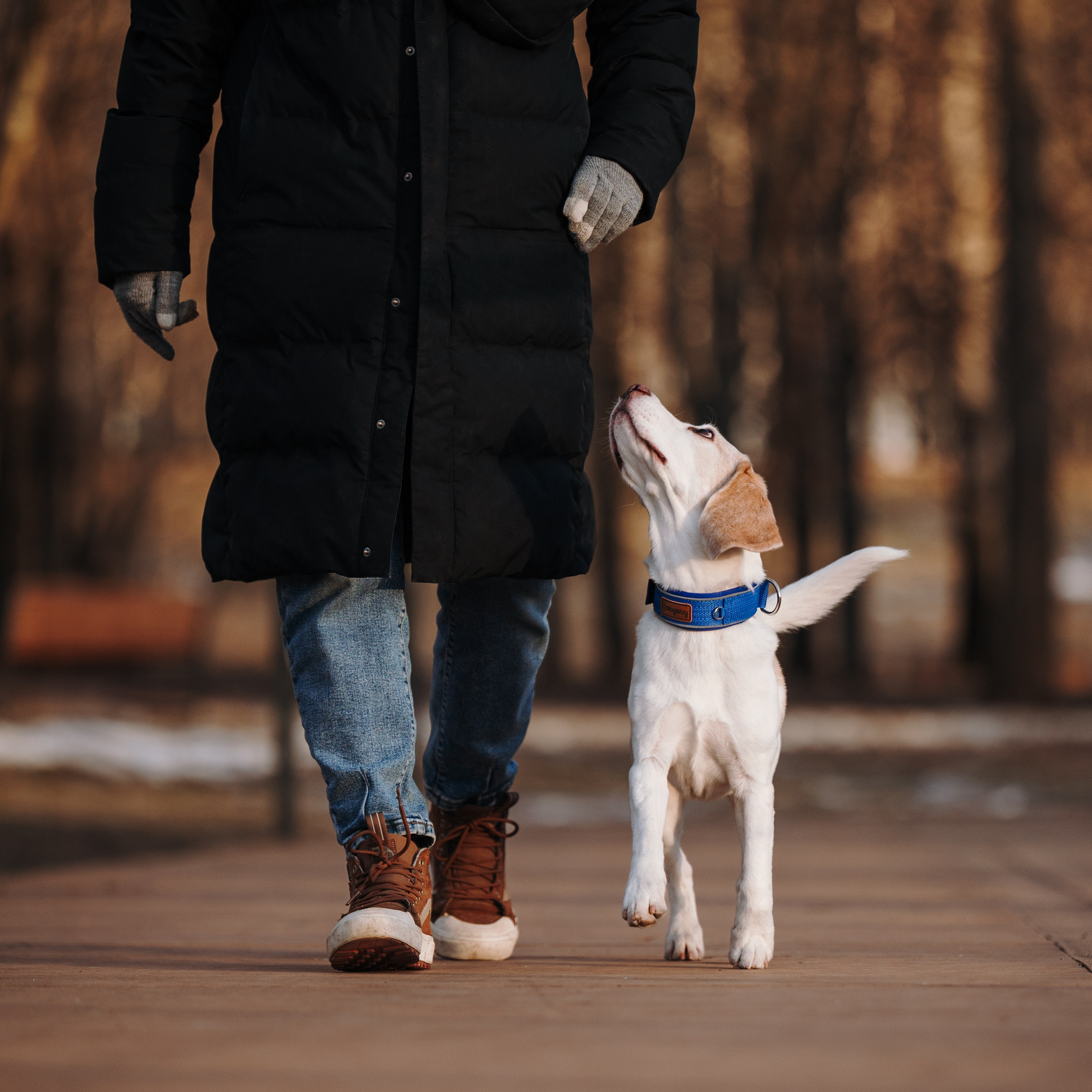 MagWay. Семейный фотограф анималист Ананьева Мария — Москва