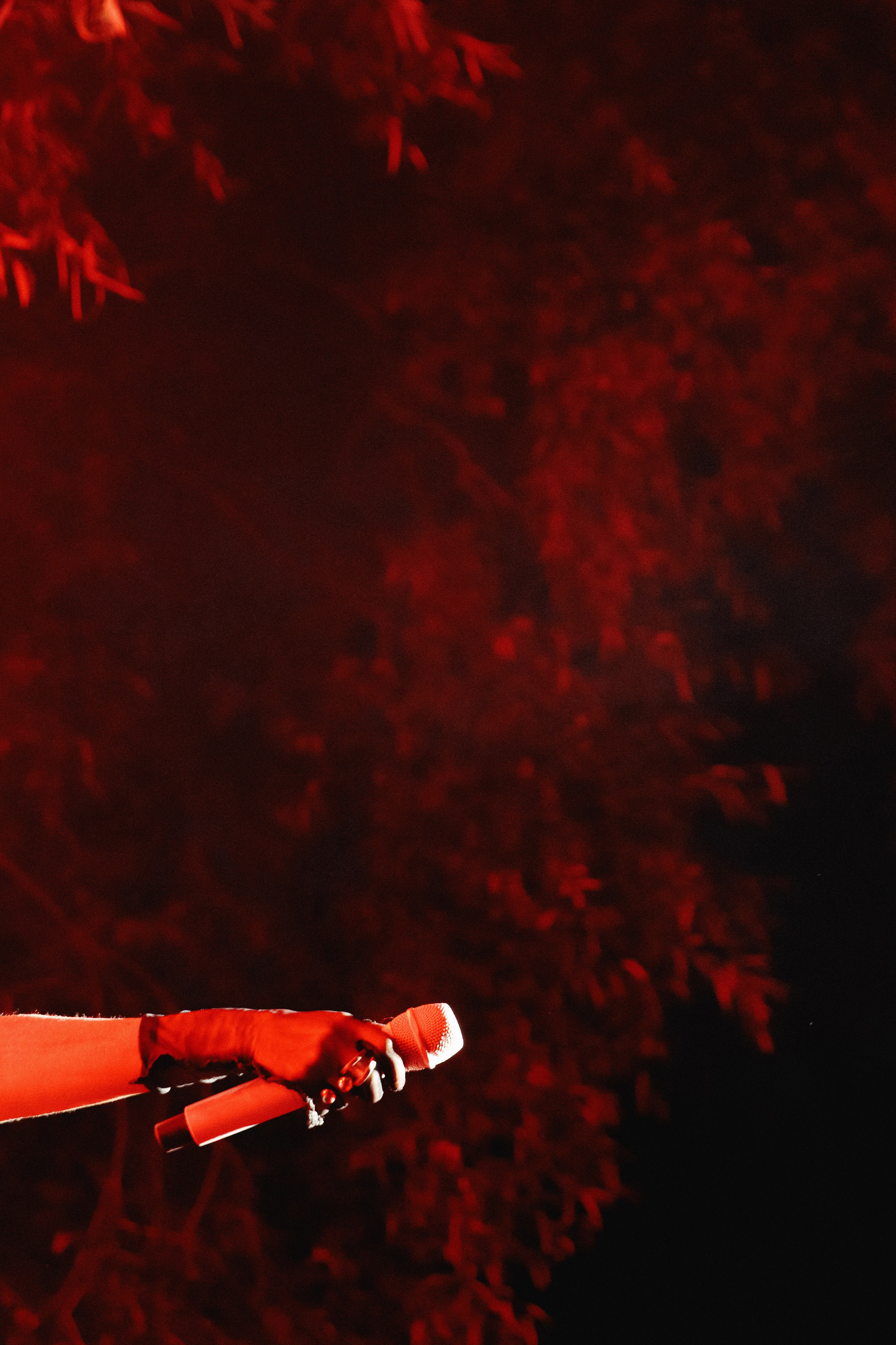 Не только джаз на пруду. Свадебное фото и видео в Липецке. Павел Покидов, Елена Покидова