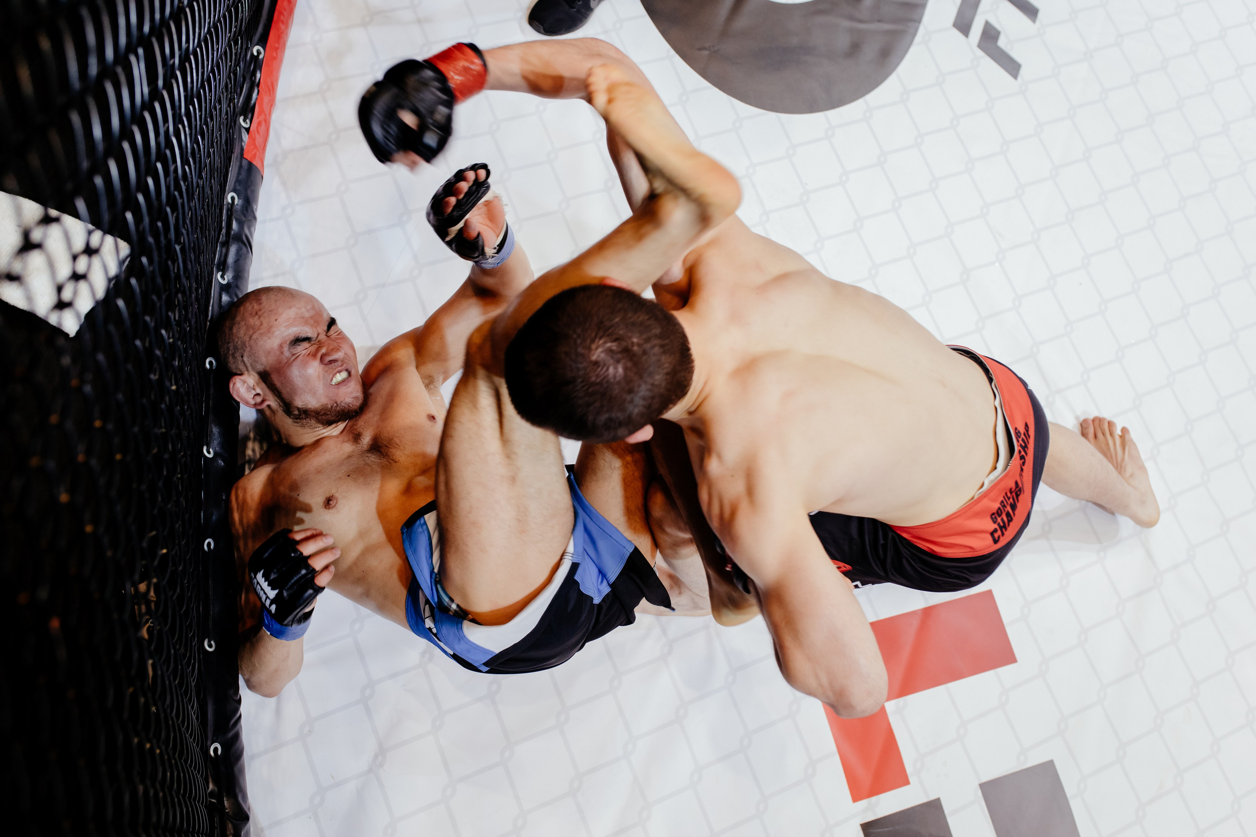 Gorilla Fighting Penza. Репортажный, event, концертный и backstage фотограф из Москвы Виталий Кривцов