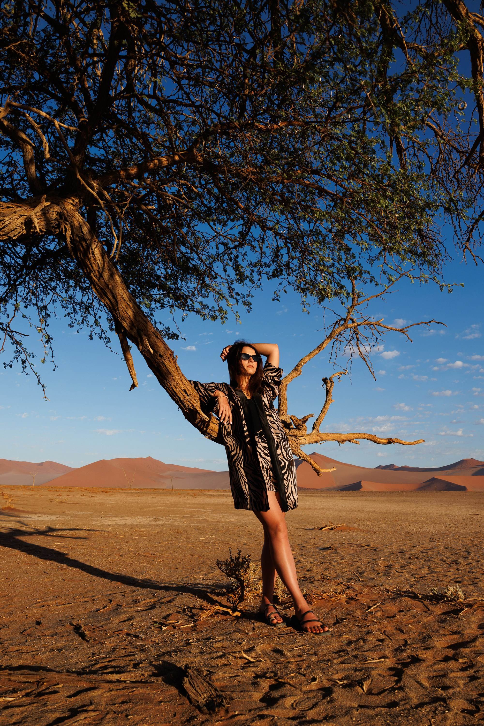 Путешествия