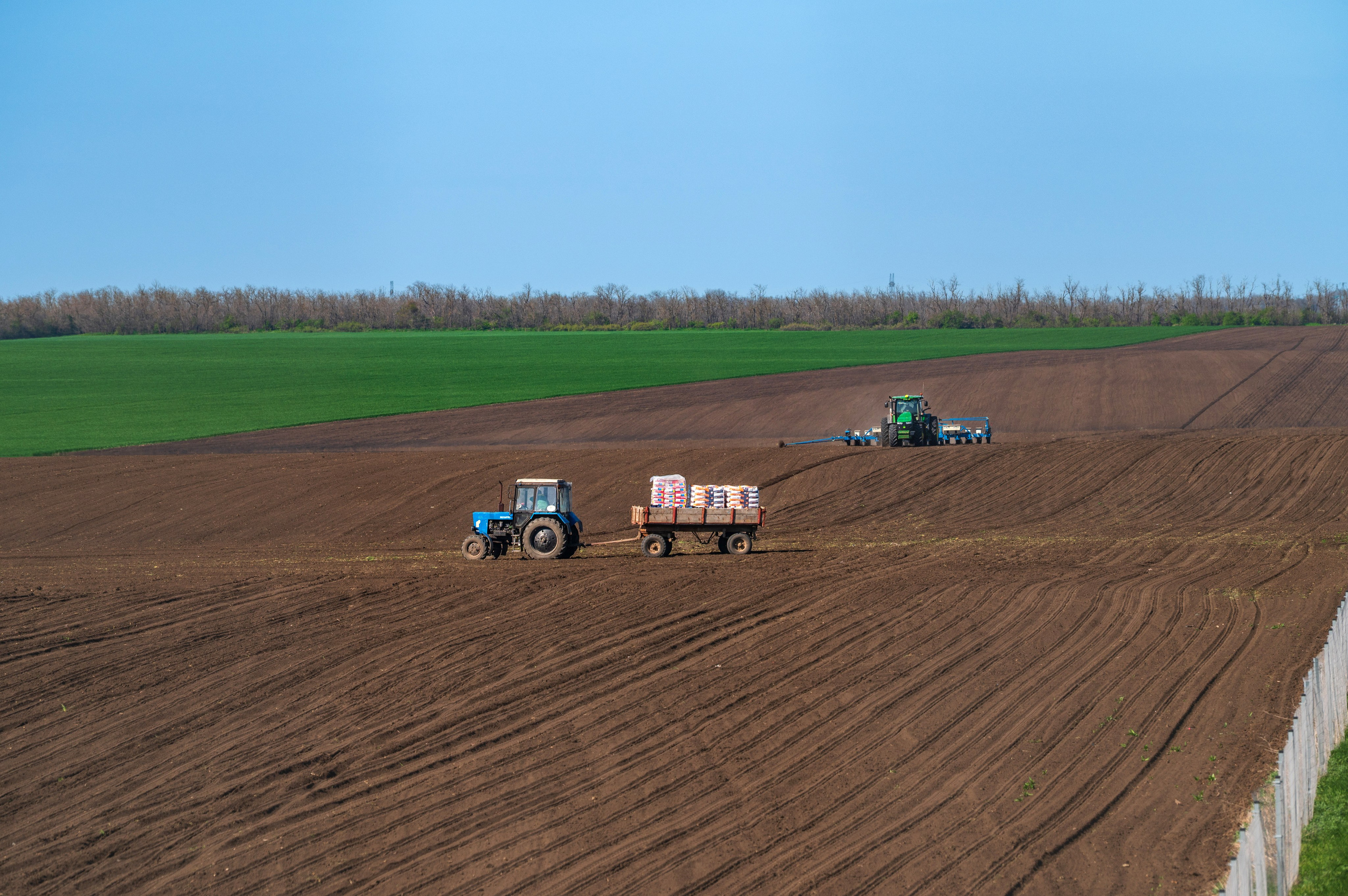 Проекты. Профессиональный фотограф Вячеслав Плацында | Липецк |