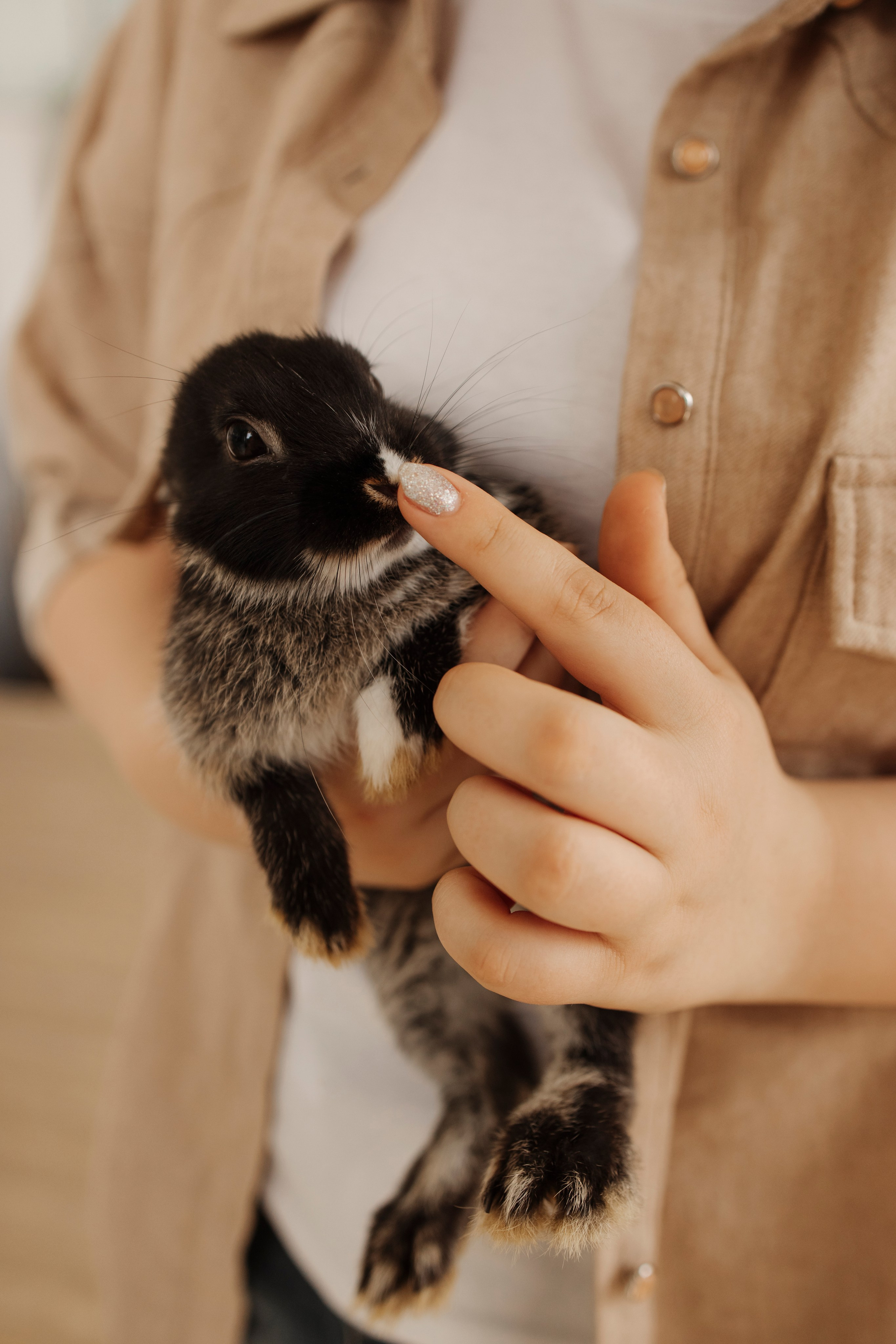 Декоративные кролики Новосибирск