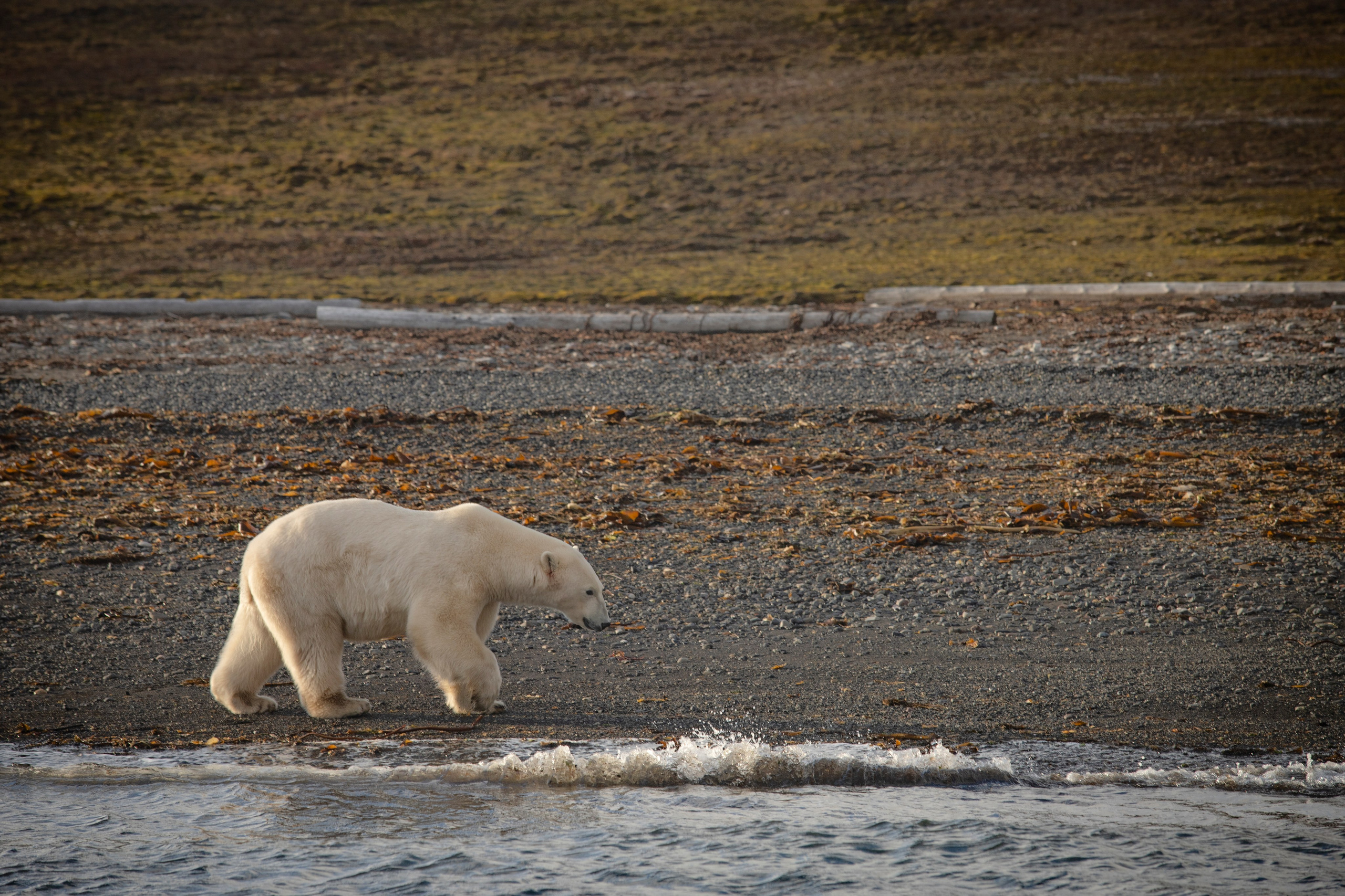 Фотограф Москва, Сергиев Посад