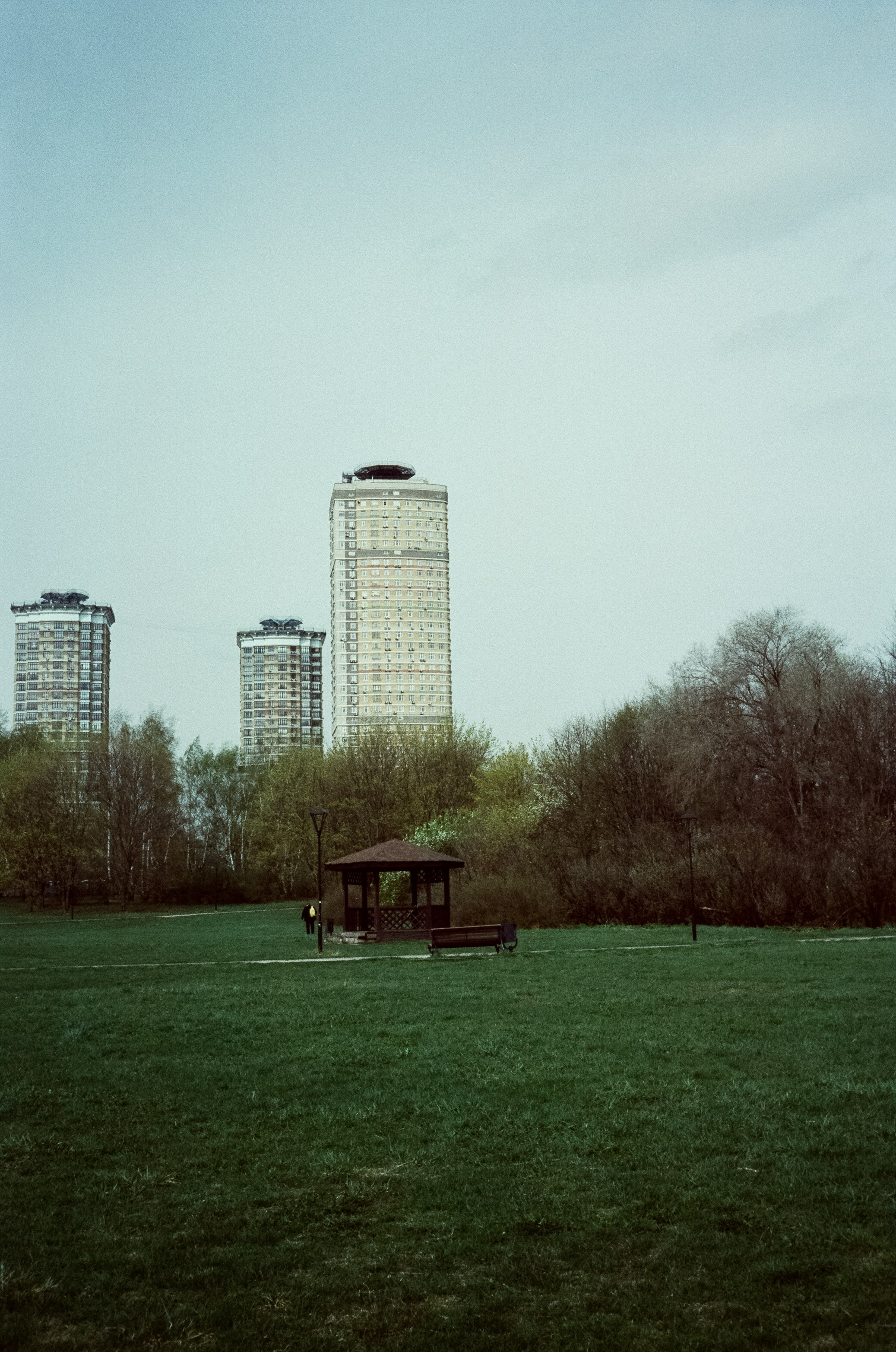 Ricoh 500GS / SFL 200T / Строгино тестовая пленка апрель 2024 г