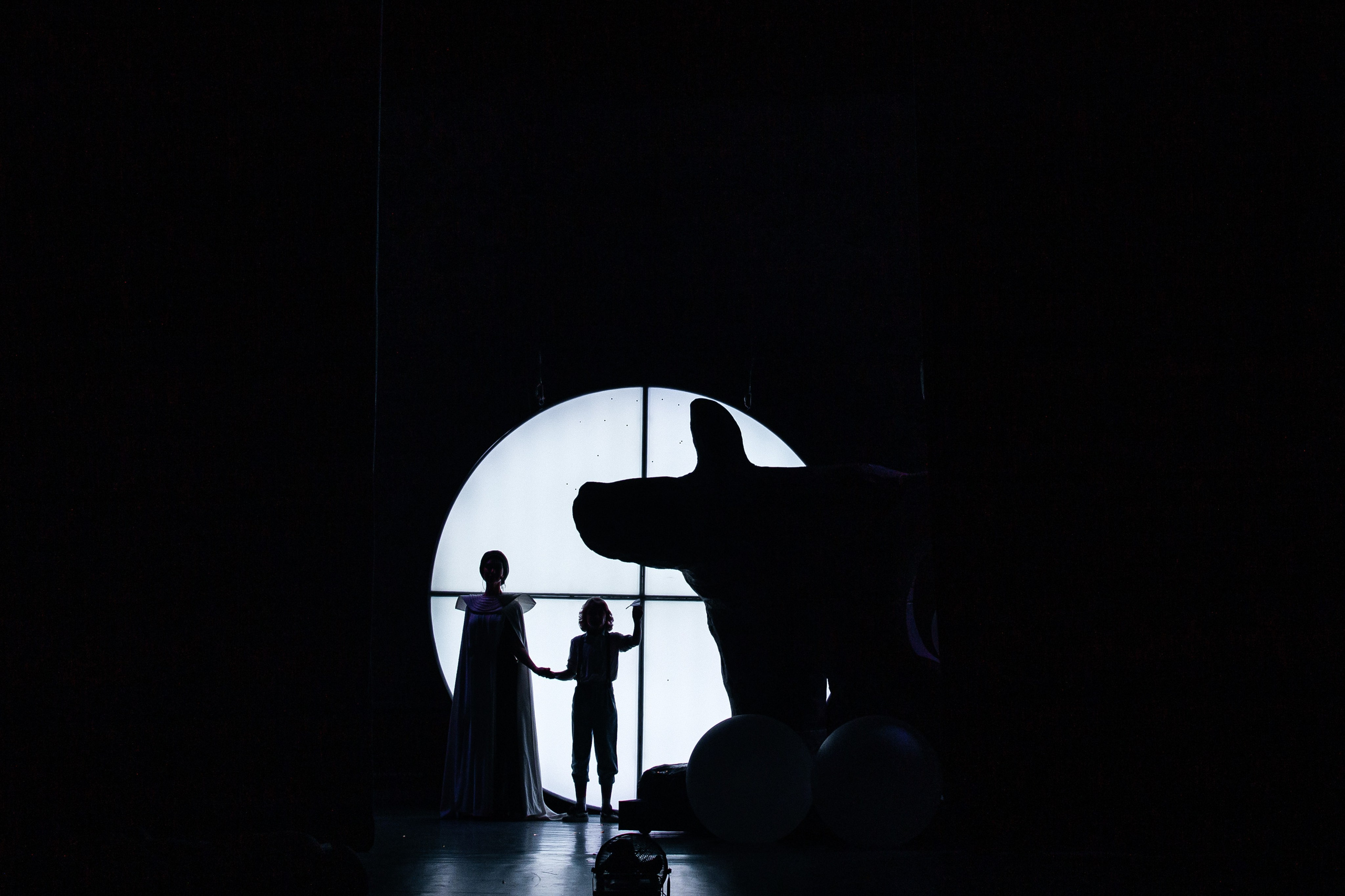 Спектакль «МАЛЕНЬКИЙ ПРИНЦ». Фотограф в Санкт-Петербурге Виктория Безверхая