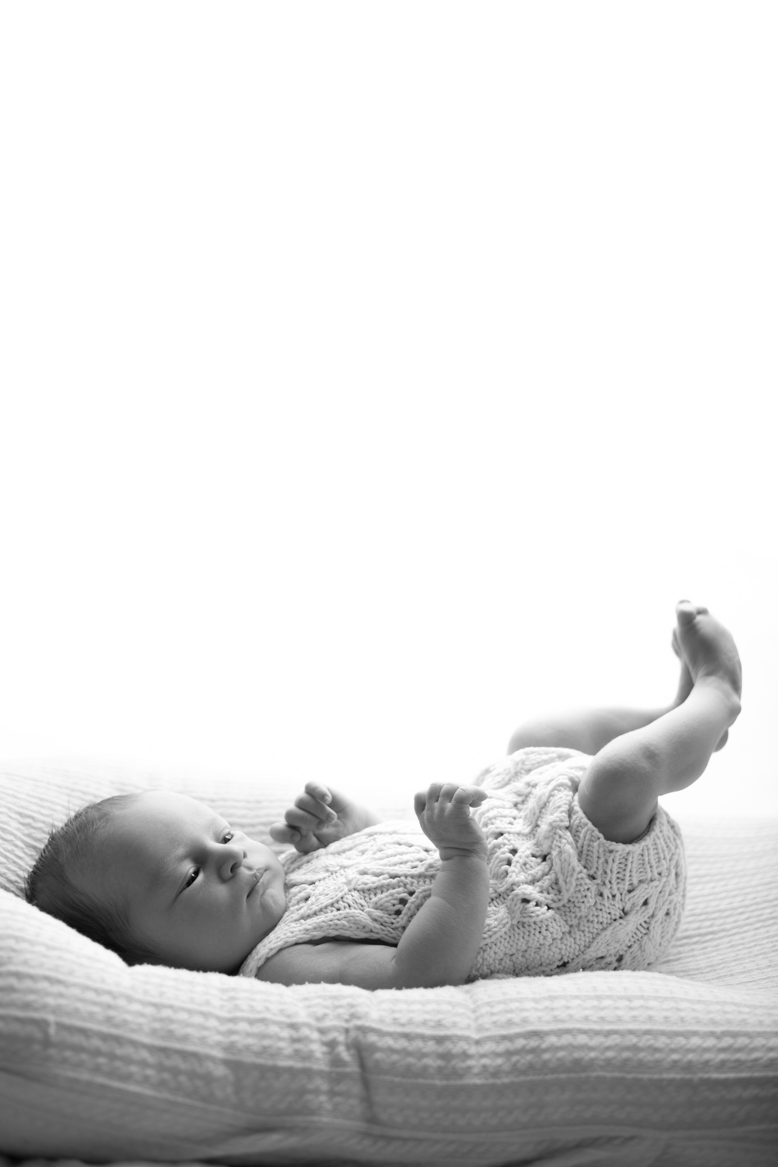 Лев. Лилия Алтухова — фотограф новорожденных в Москве и области