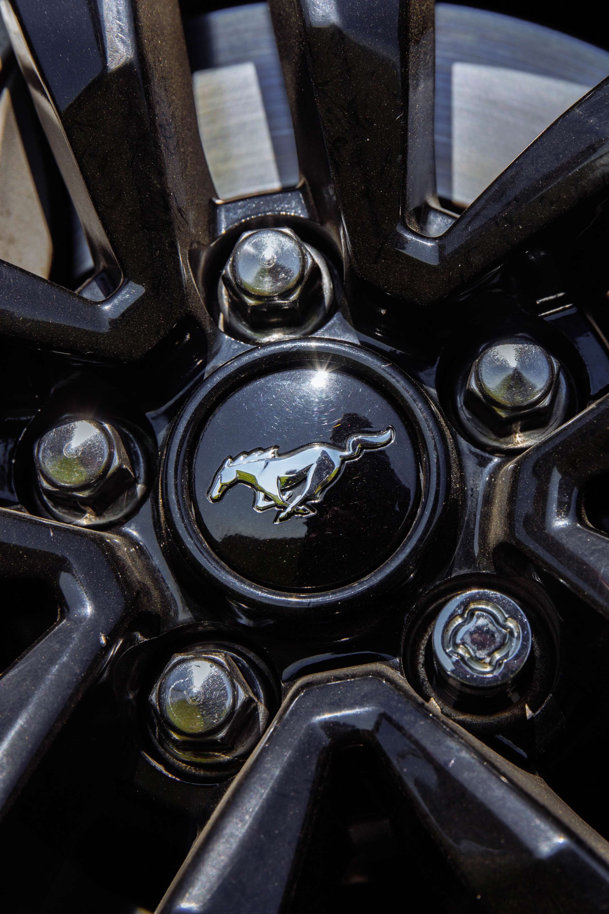 MUSTANG. Репортажный фотограф в Иркутске — Ярослав Ковалёв