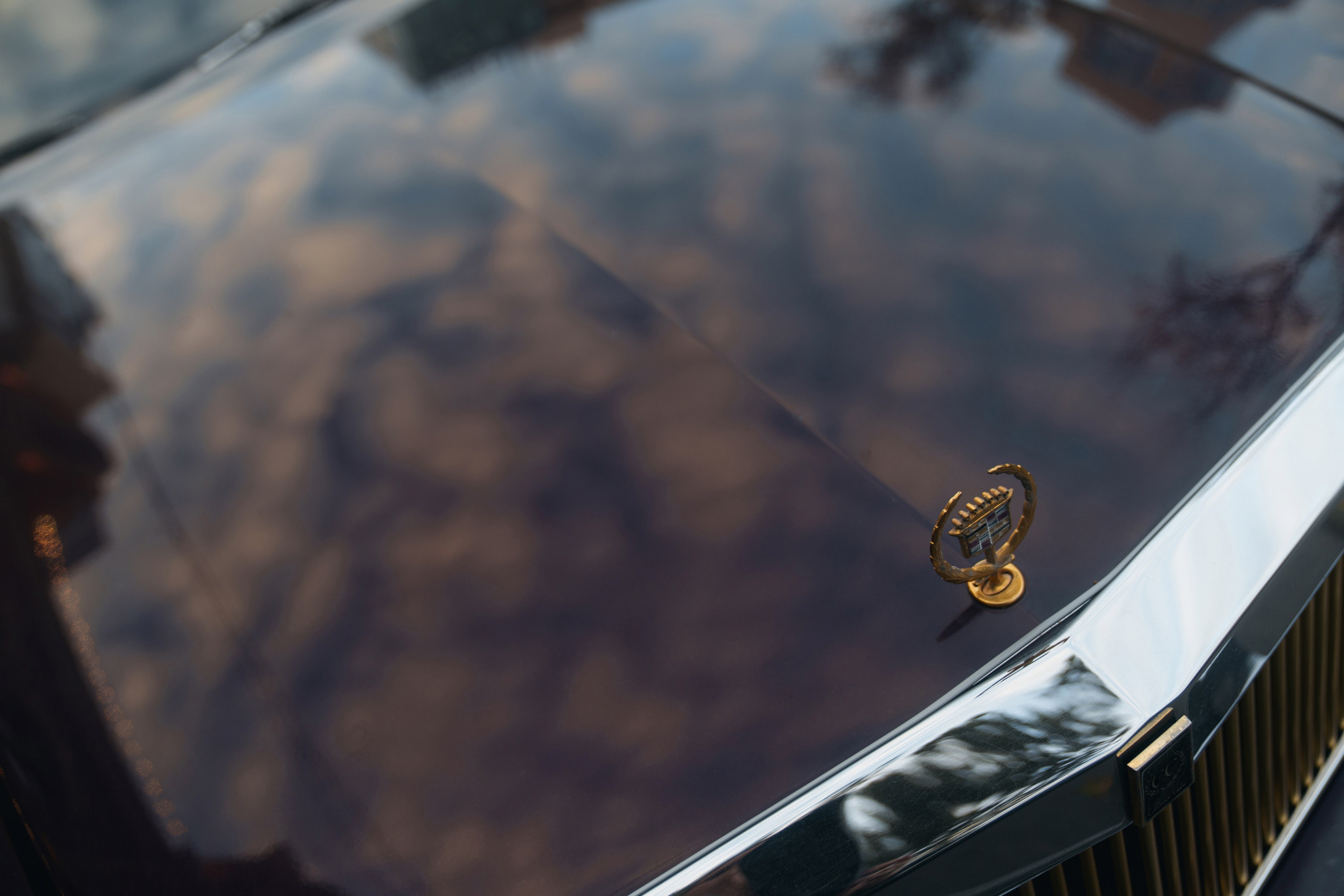 30 лет — времена не выбирают. Свадебный фотограф в Ростовe-на-Дону Анастасия Прутова