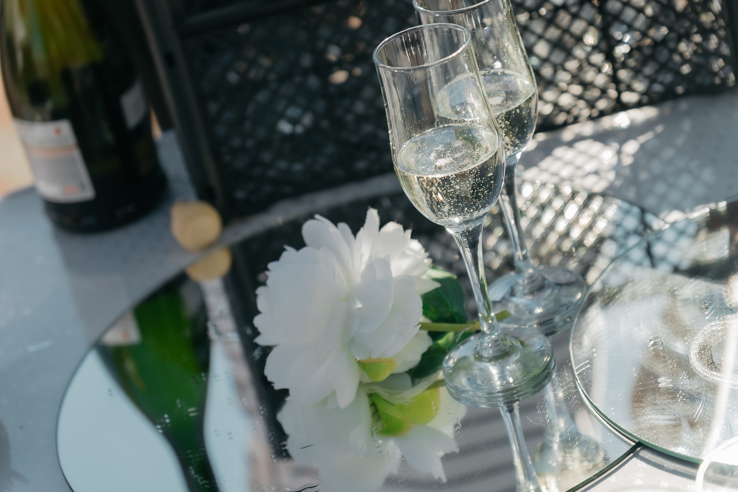 Владимир и Ева. Фотограф Новосибирск Вероника Вишневская