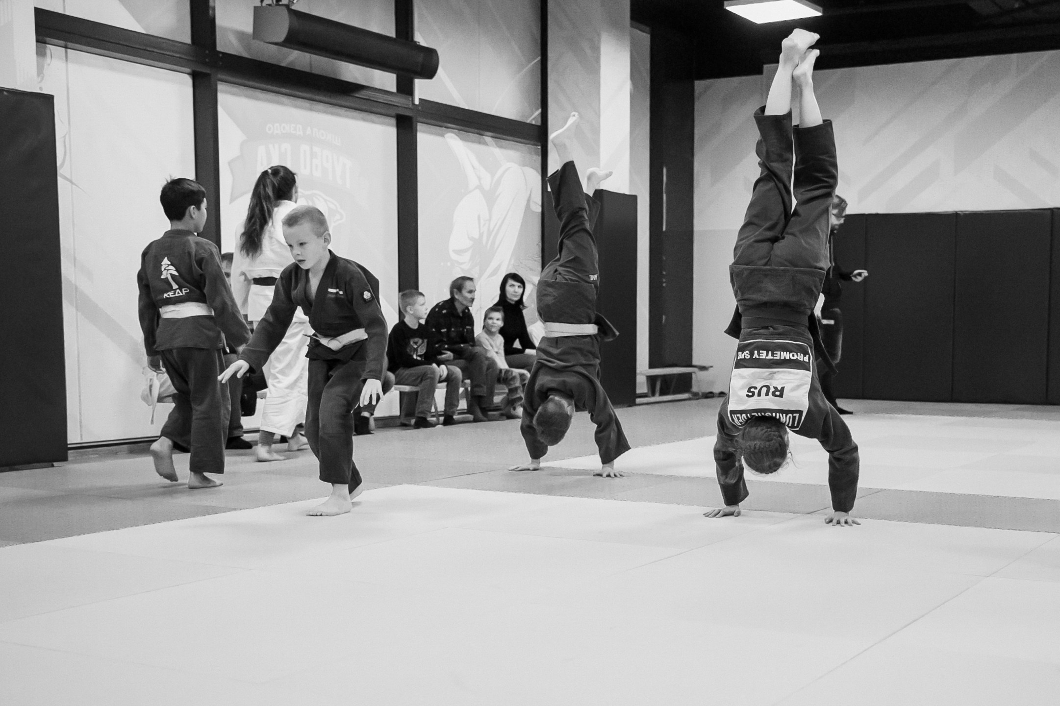 Клуб дзюдо им Анатолия Рахлина. Портретный фотограф Санкт-Петербург Москва Андронова Юлия