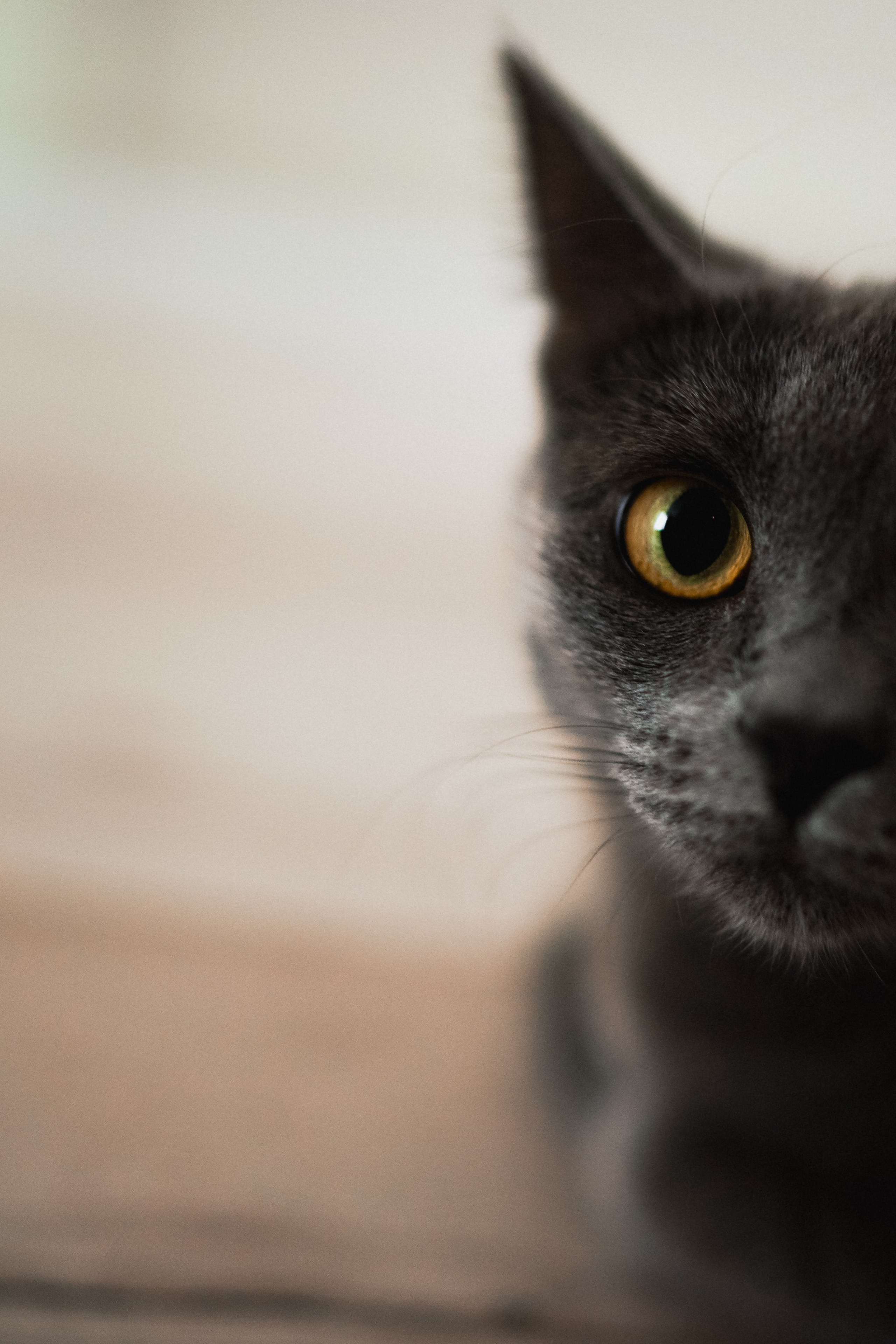 ДПС — Добрый Папа Саши. Фотограф Анна Кобазева, Москва