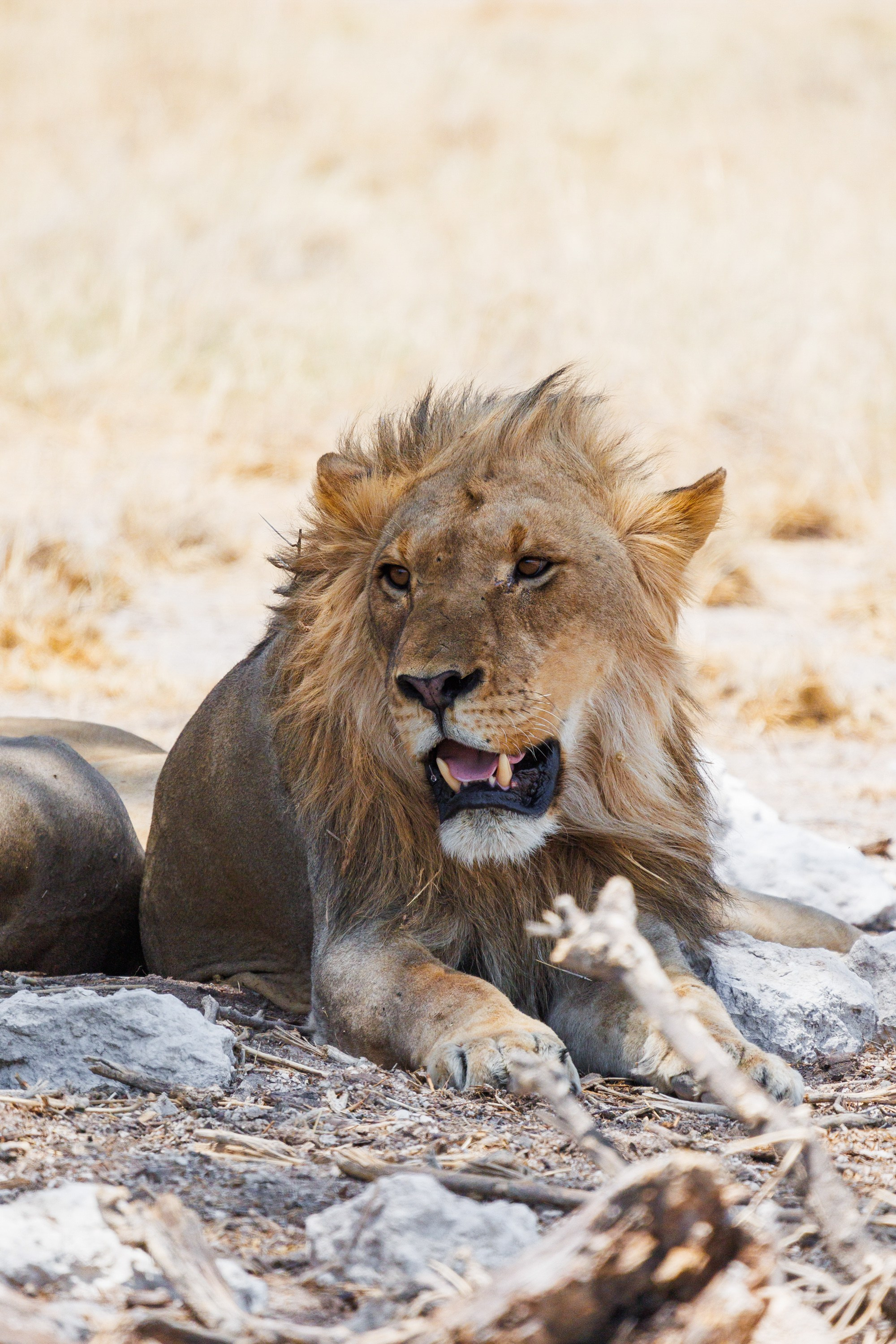 НАМИБИЯ. Роадтрип