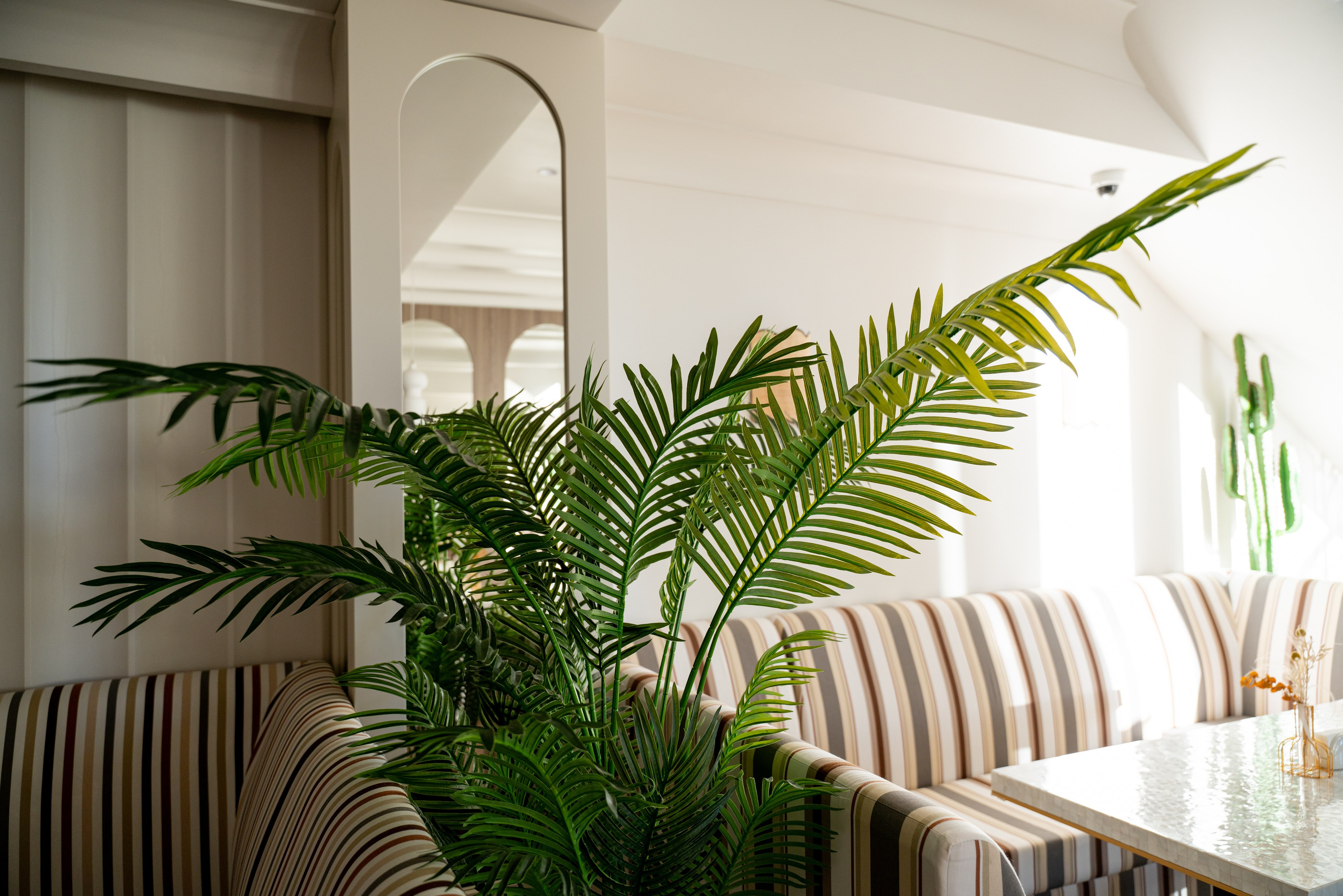 БУТА СПА. Фотограф на любое мероприятие