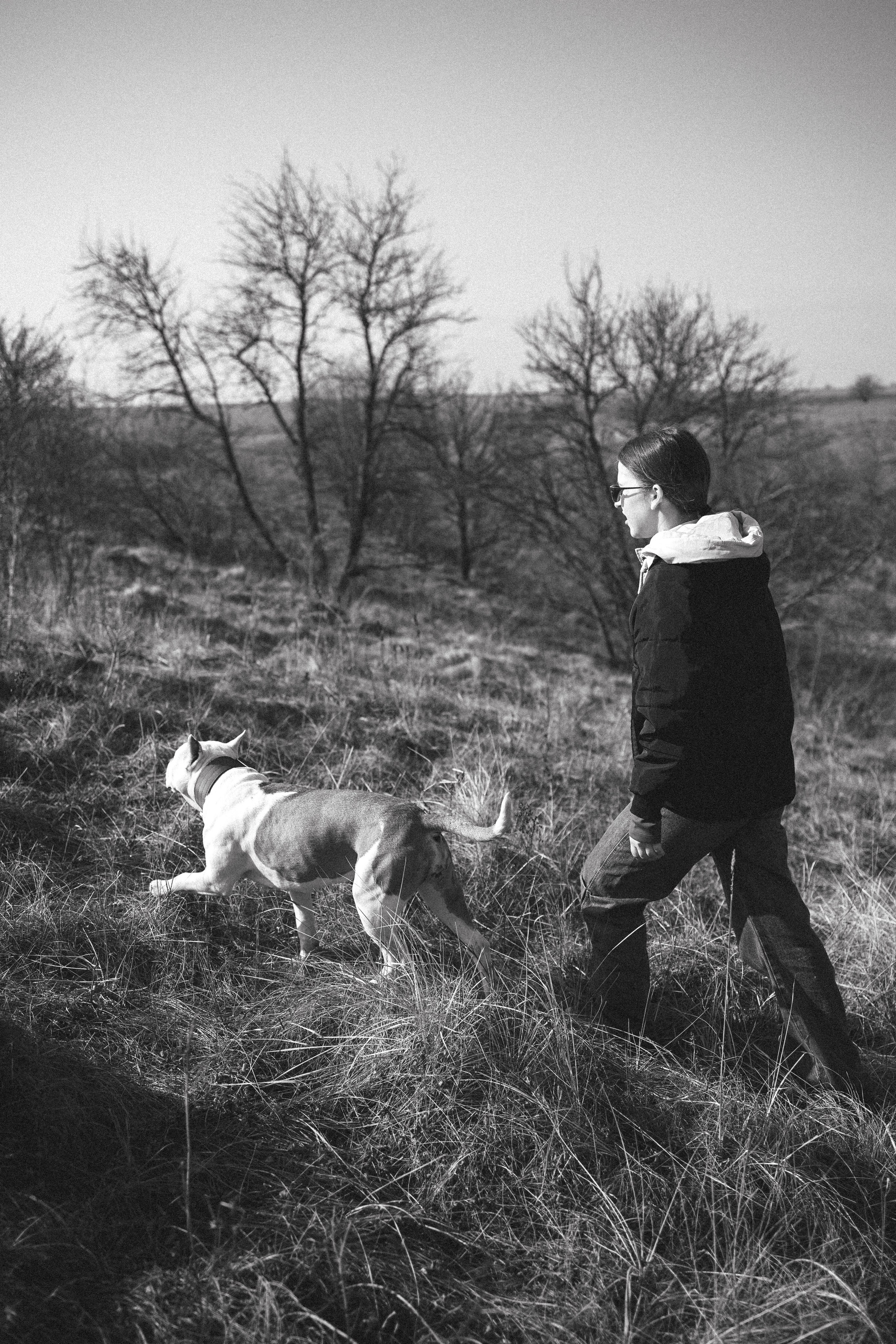Лера, Ума и Винни. Фотограф — анималист Светлана Кысса|фотограф собак в Краснодаре и Нижнем Новгороде