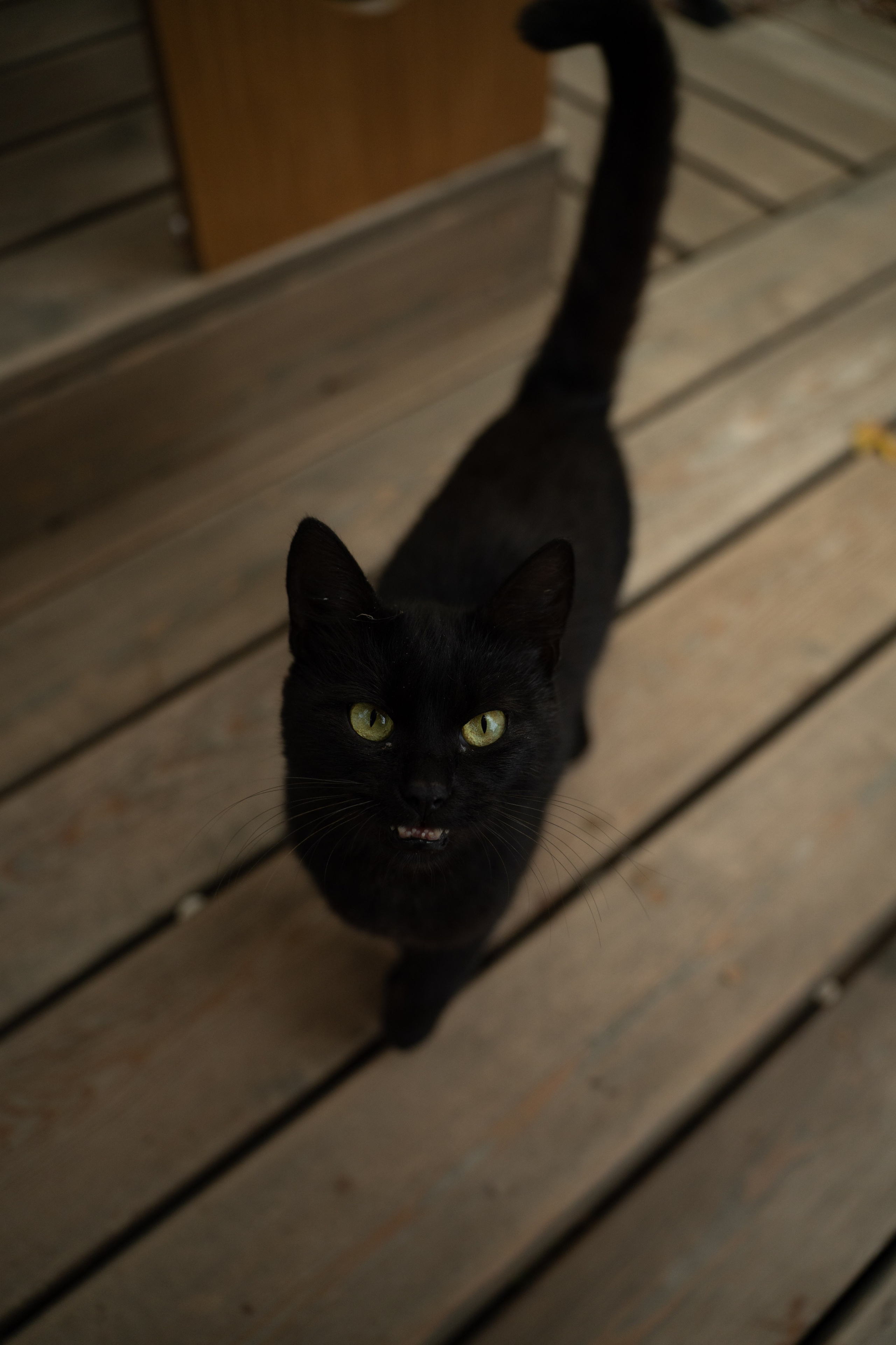 Ангарский Перевал. Фотограф и Видеограф Севастополь Крым