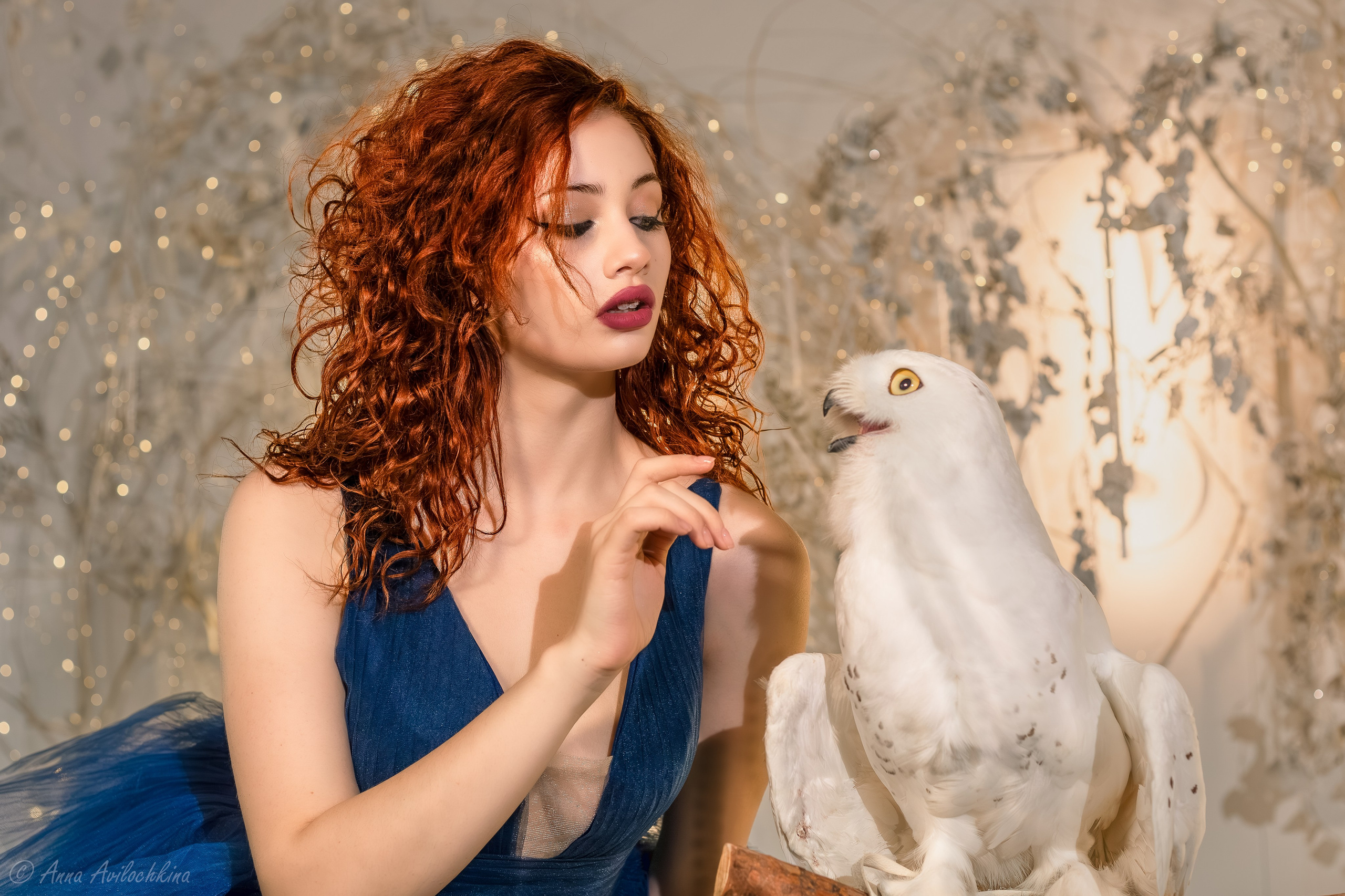 Альбомы стилизованных фотосессий и съёмки с животными. Семейный и свадебный фотограф в Москве и Домодедово Анна Авилочкина