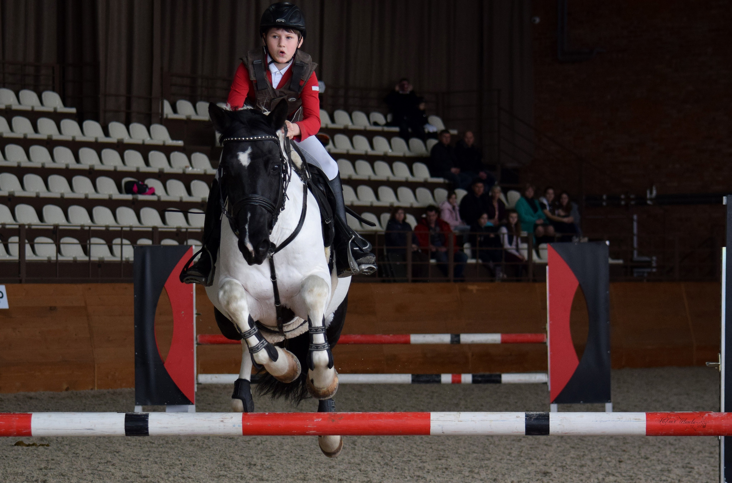 Конкур Гермес. Конный фотограф в Саратове Юлия Иванова