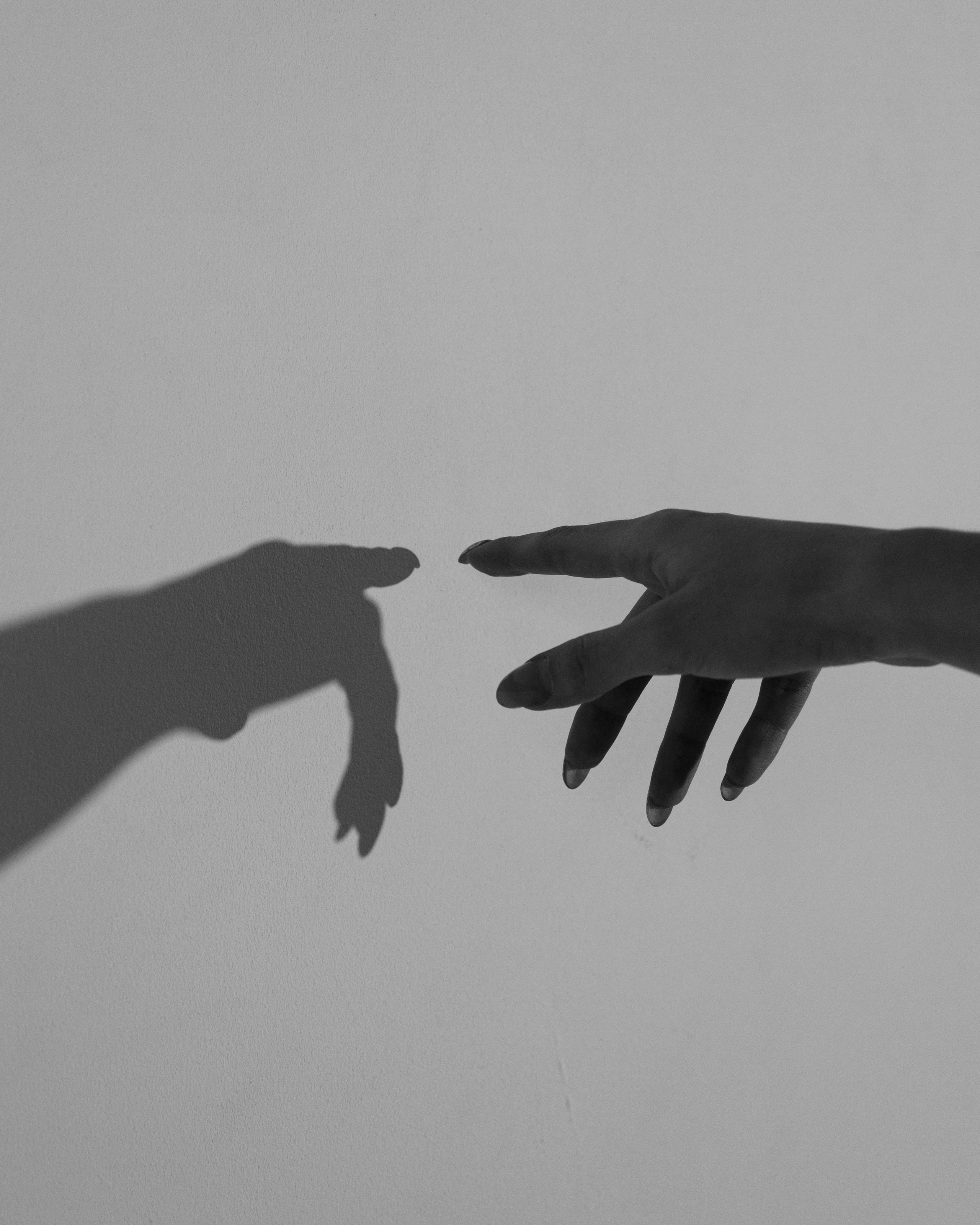 ЖЕНСКИЙ ПОРТРЕТ \ СТУДИЯ. Фотограф Павел Подшивалов