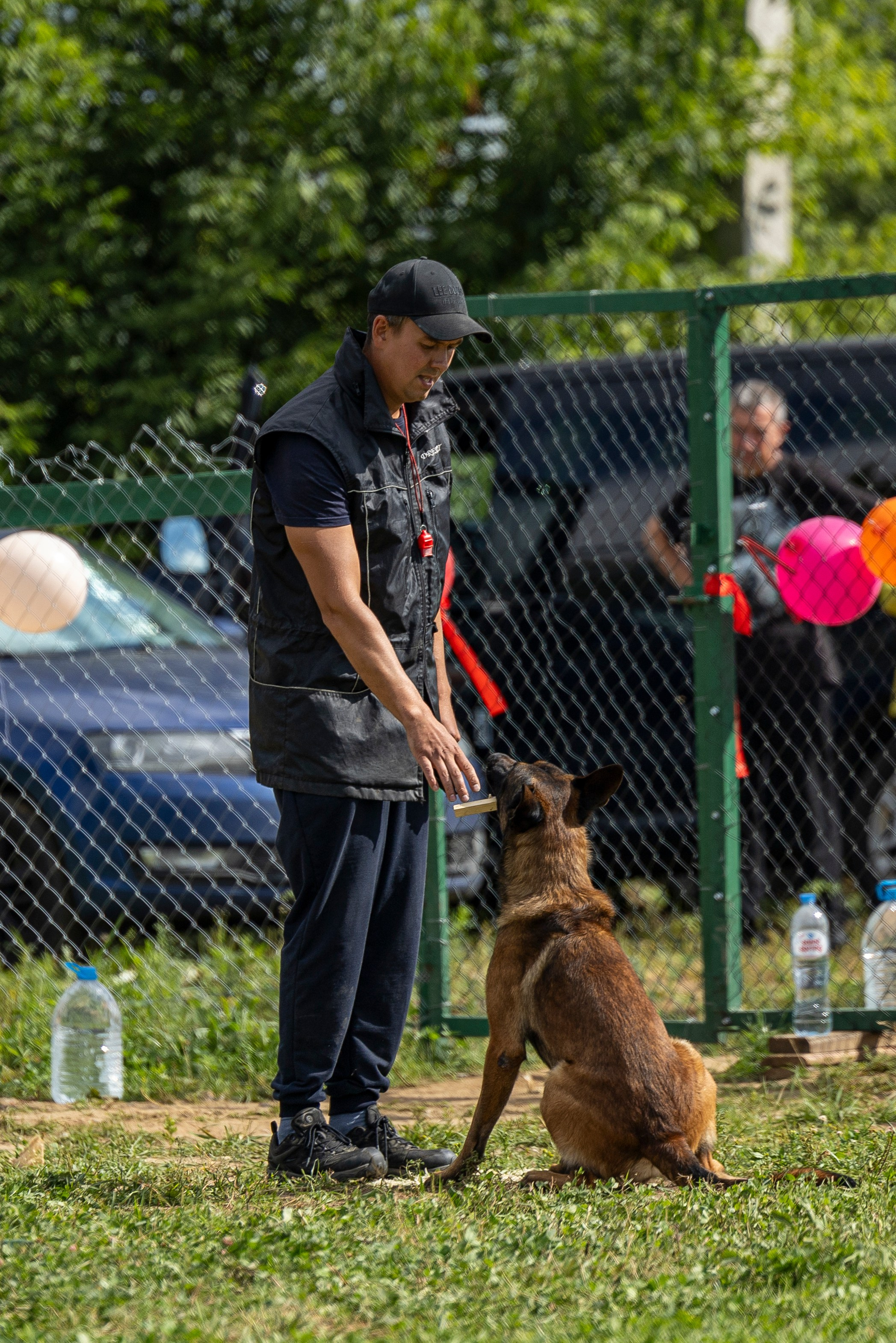 Соревнования по Мондьорингу г. Вологда 10-11.08.2024. Фотограф-анималист Анна Маринич