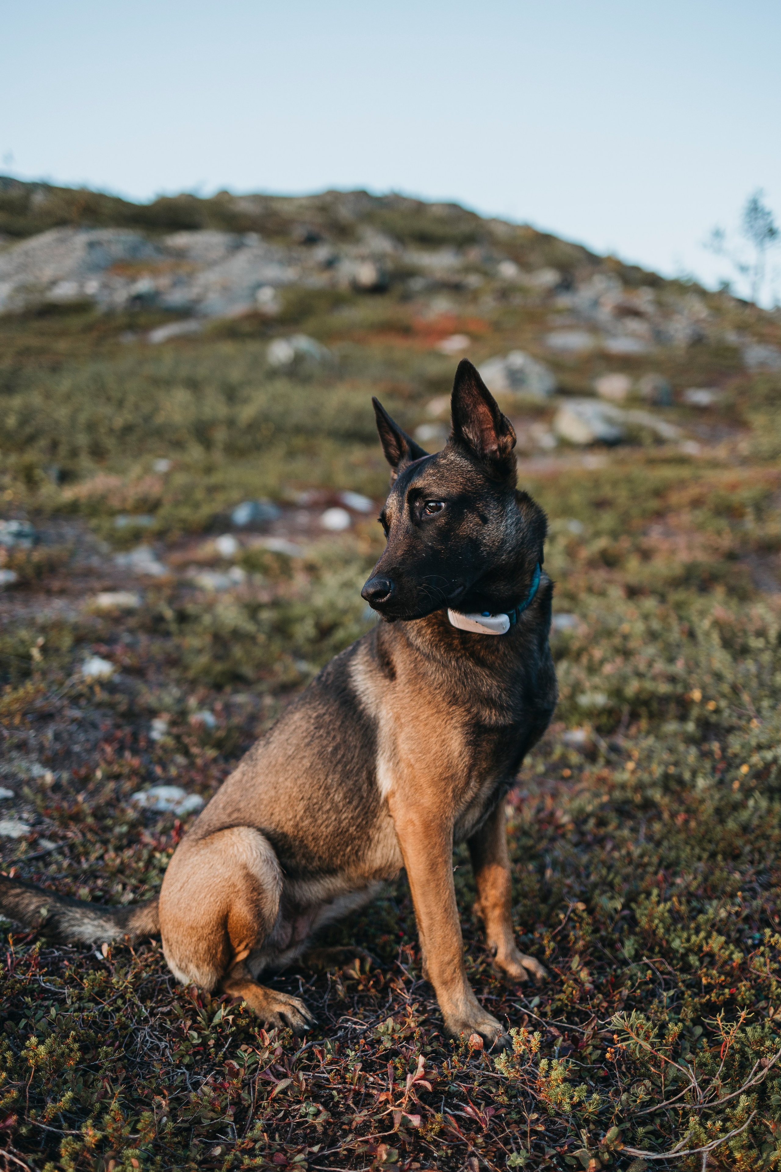 Горы. Фотограф-анималист Анна Маринич