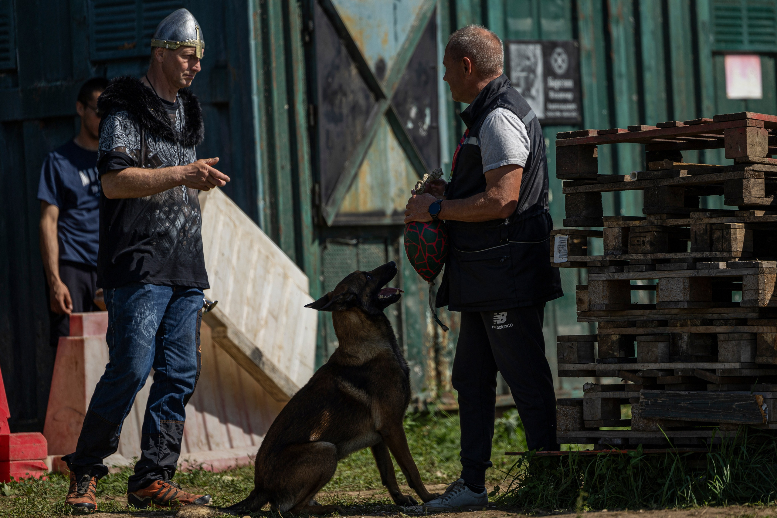 Соревнования по Мондьорингу г. Вологда 10-11.08.2024. Фотограф-анималист Анна Маринич
