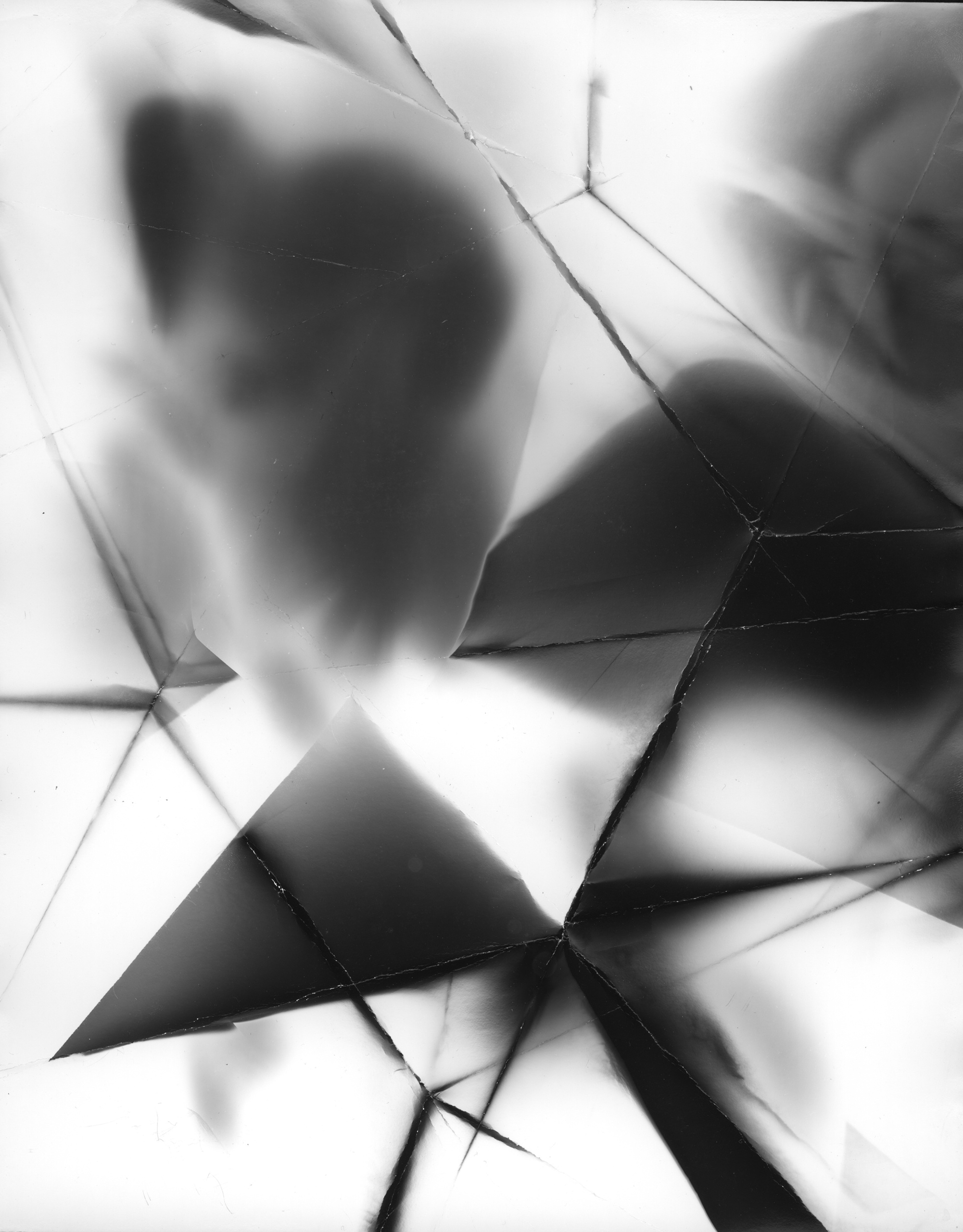 Фотограммы (2012). Художник. Фотограф