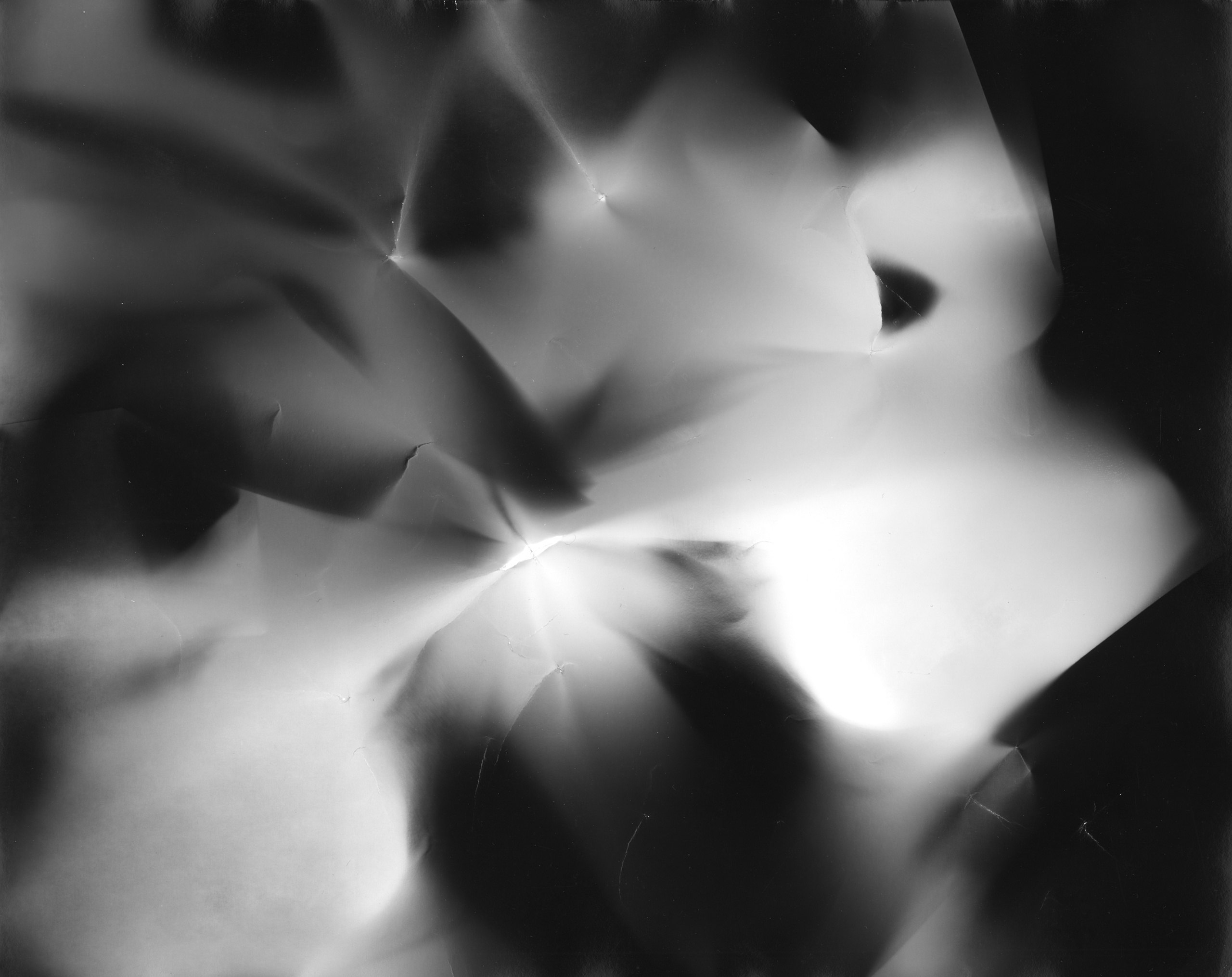 Фотограммы (2012). Художник. Фотограф