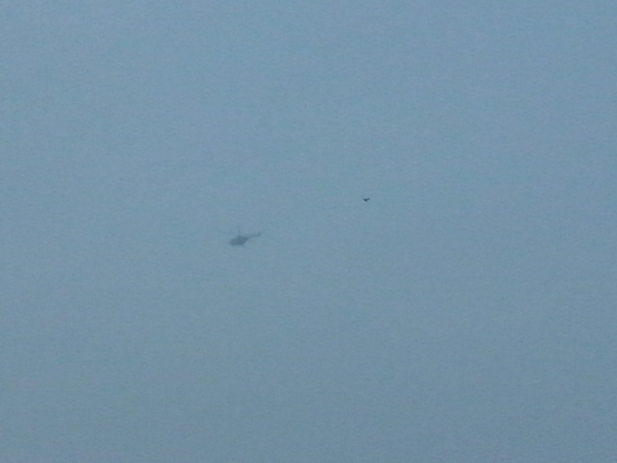 Как прекрасен этот мир — 2 (2019). Художник. Фотограф