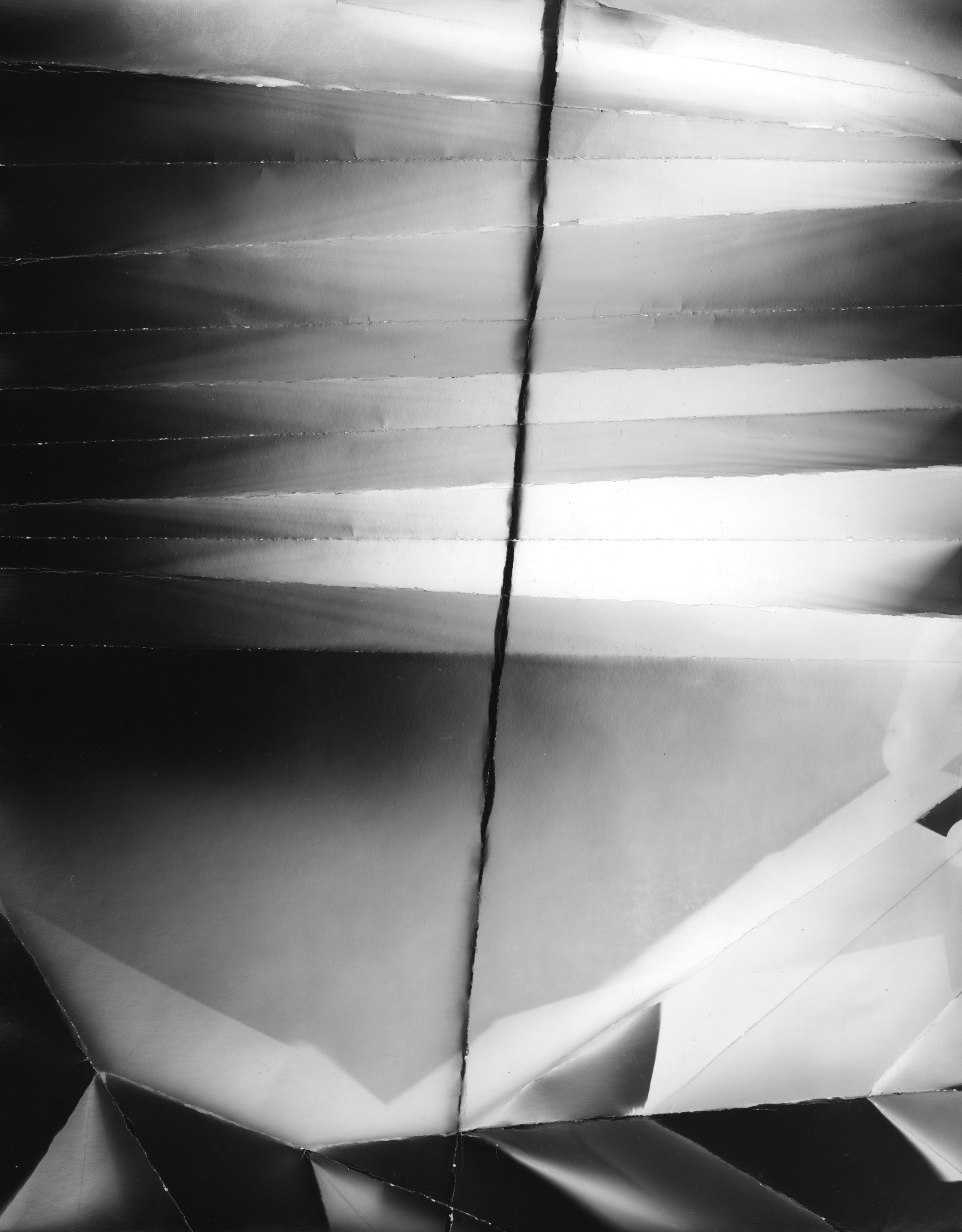 Фотограммы (2012). Художник. Фотограф