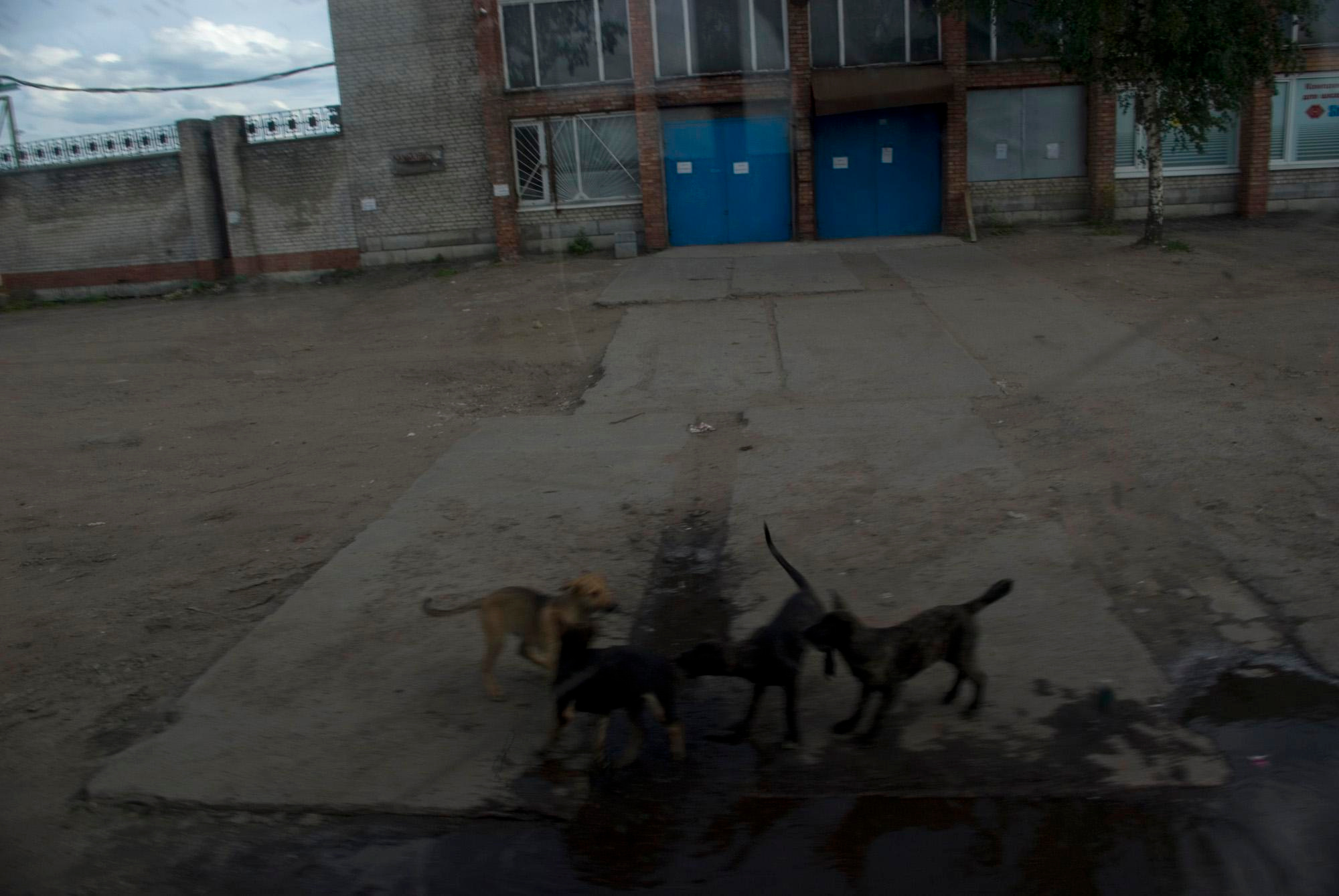 Бесконечность (2010). Художник. Фотограф