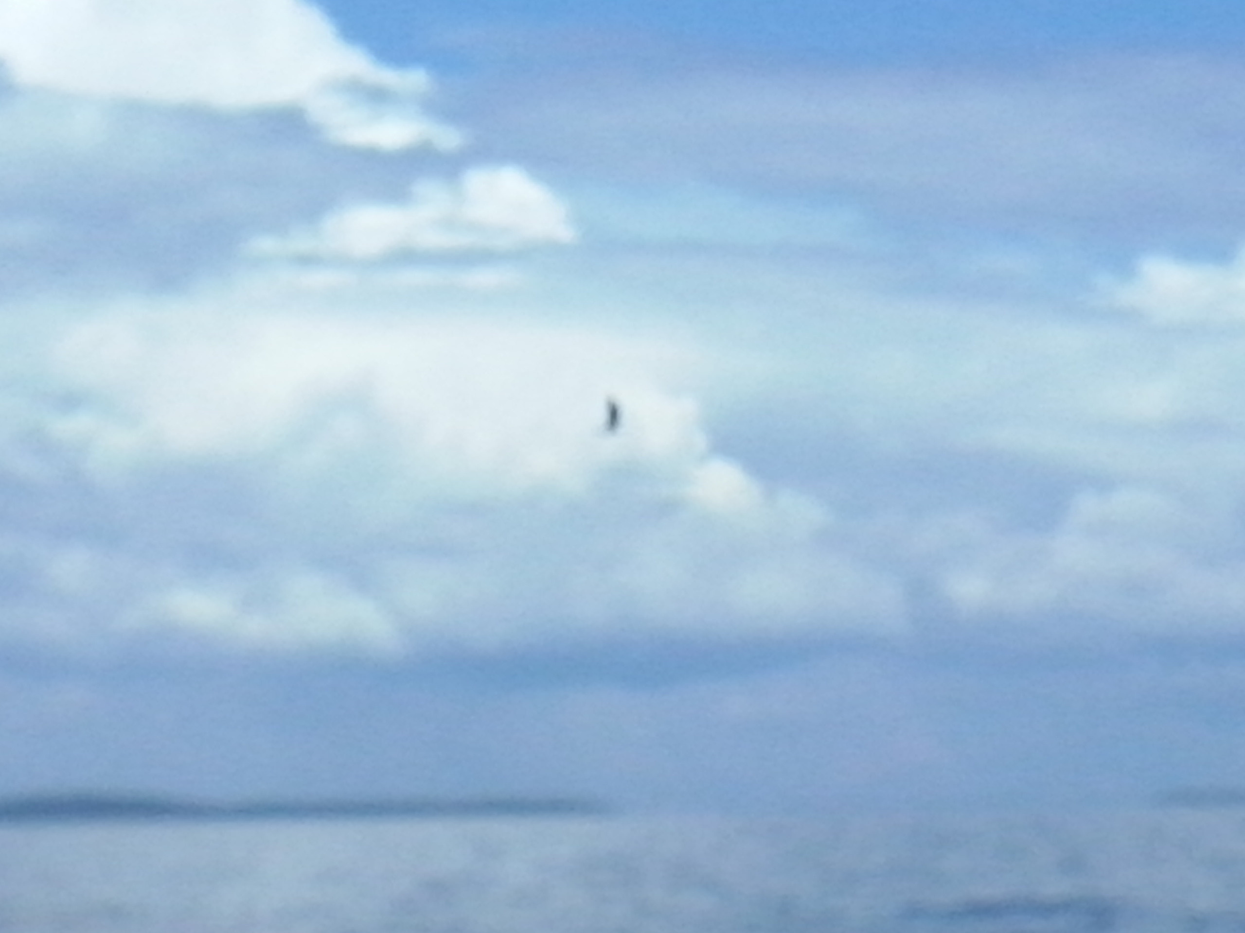 Как прекрасен этот мир — 2 (2019). Художник. Фотограф