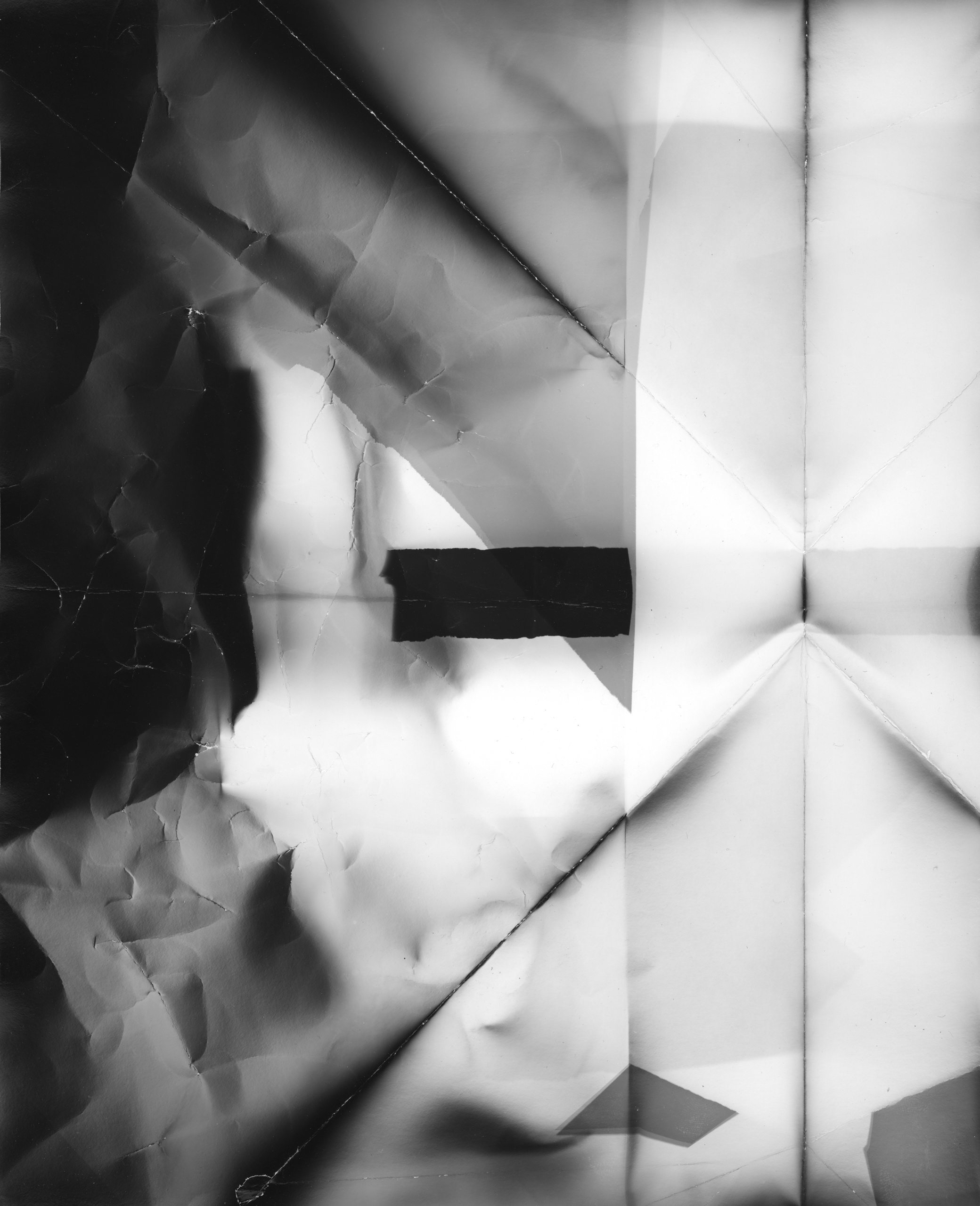 Фотограммы (2012). Художник. Фотограф