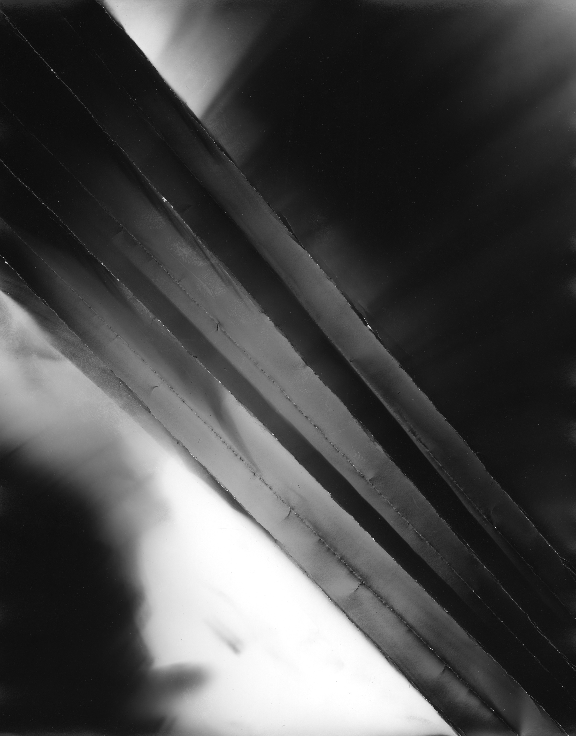 Фотограммы (2012). Художник. Фотограф