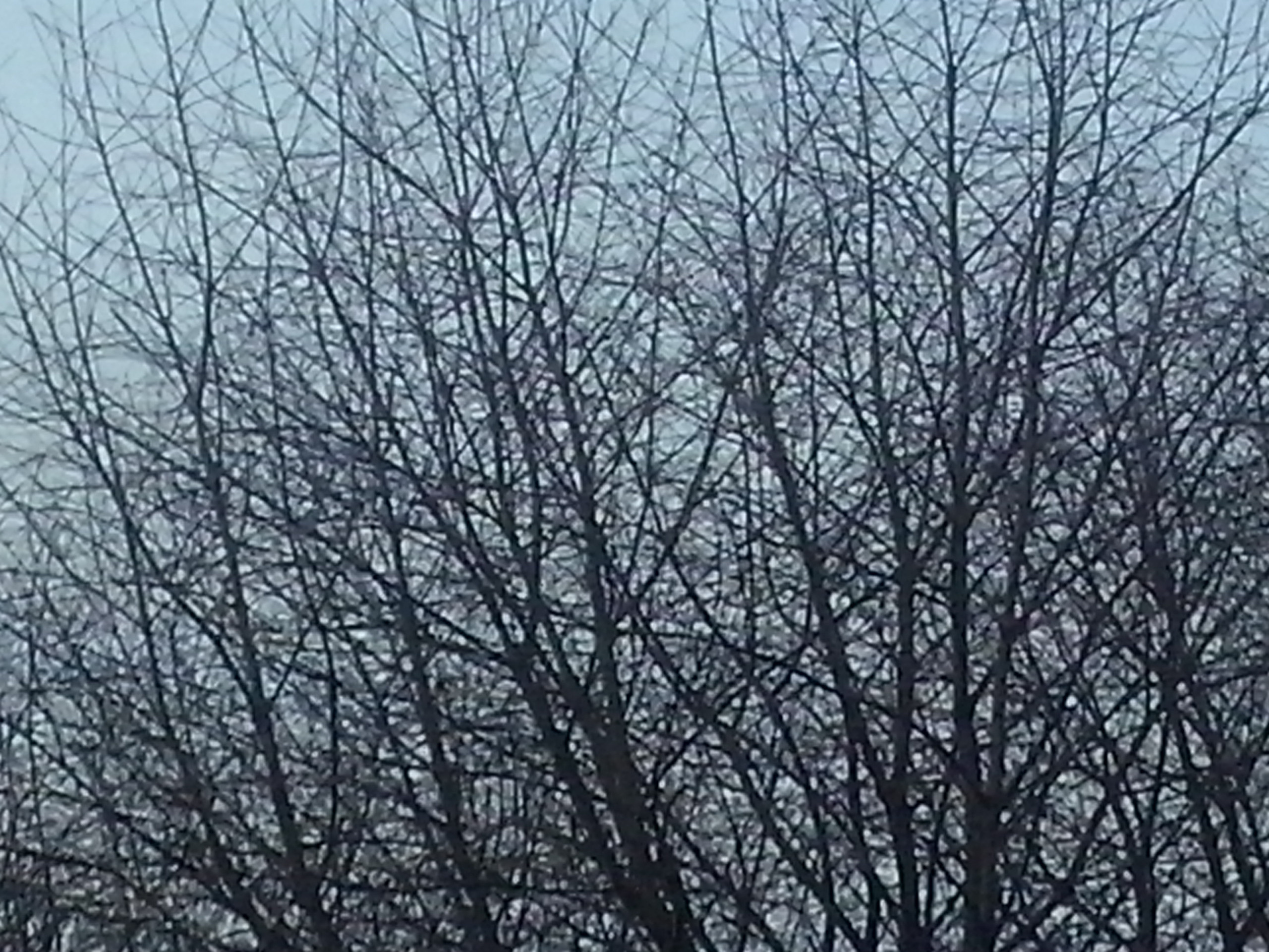 Как прекрасен этот мир — 2 (2019). Художник. Фотограф